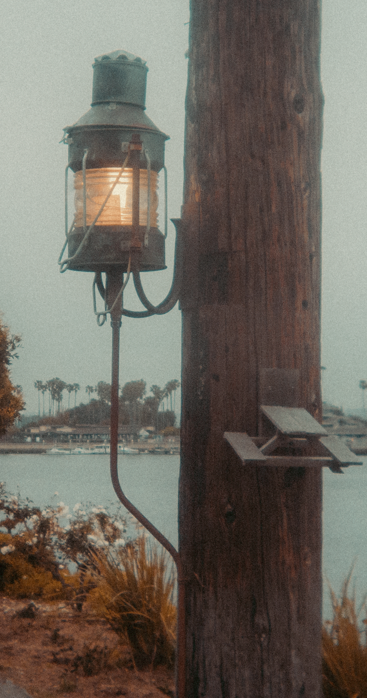 IMG_1426Test.gif