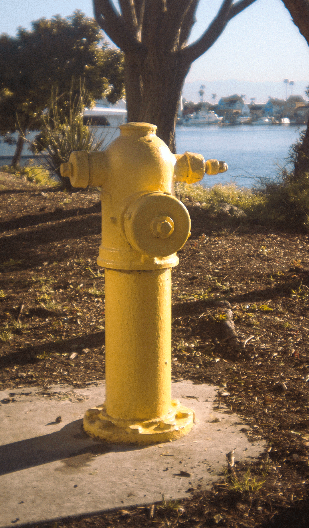 IMG_9143.gif