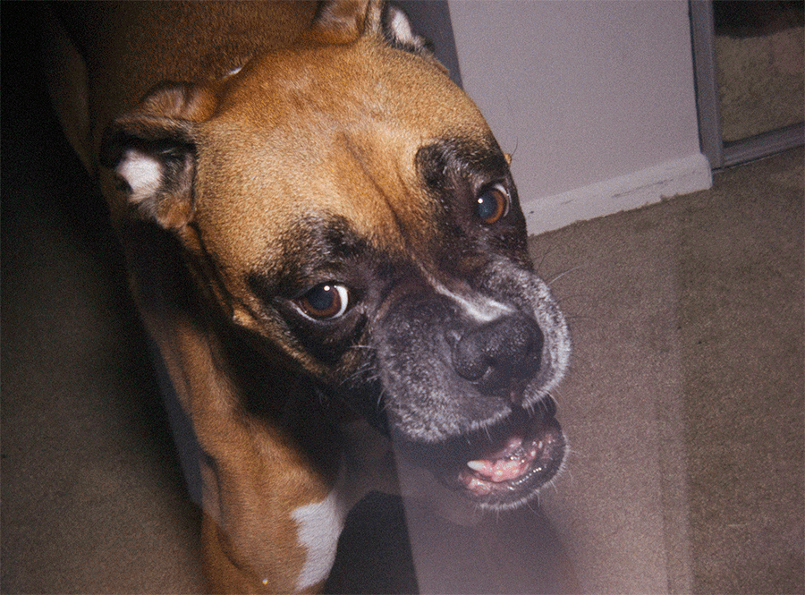 023_IMG_6725.gif