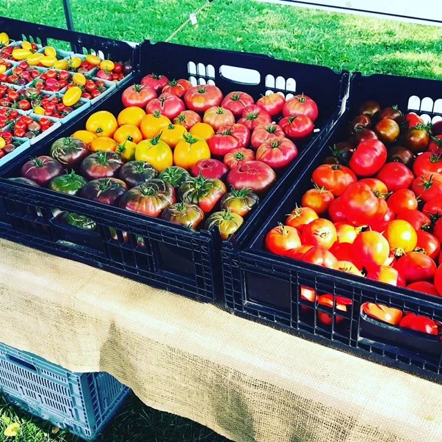 The Market — Ridgway Farmers Market