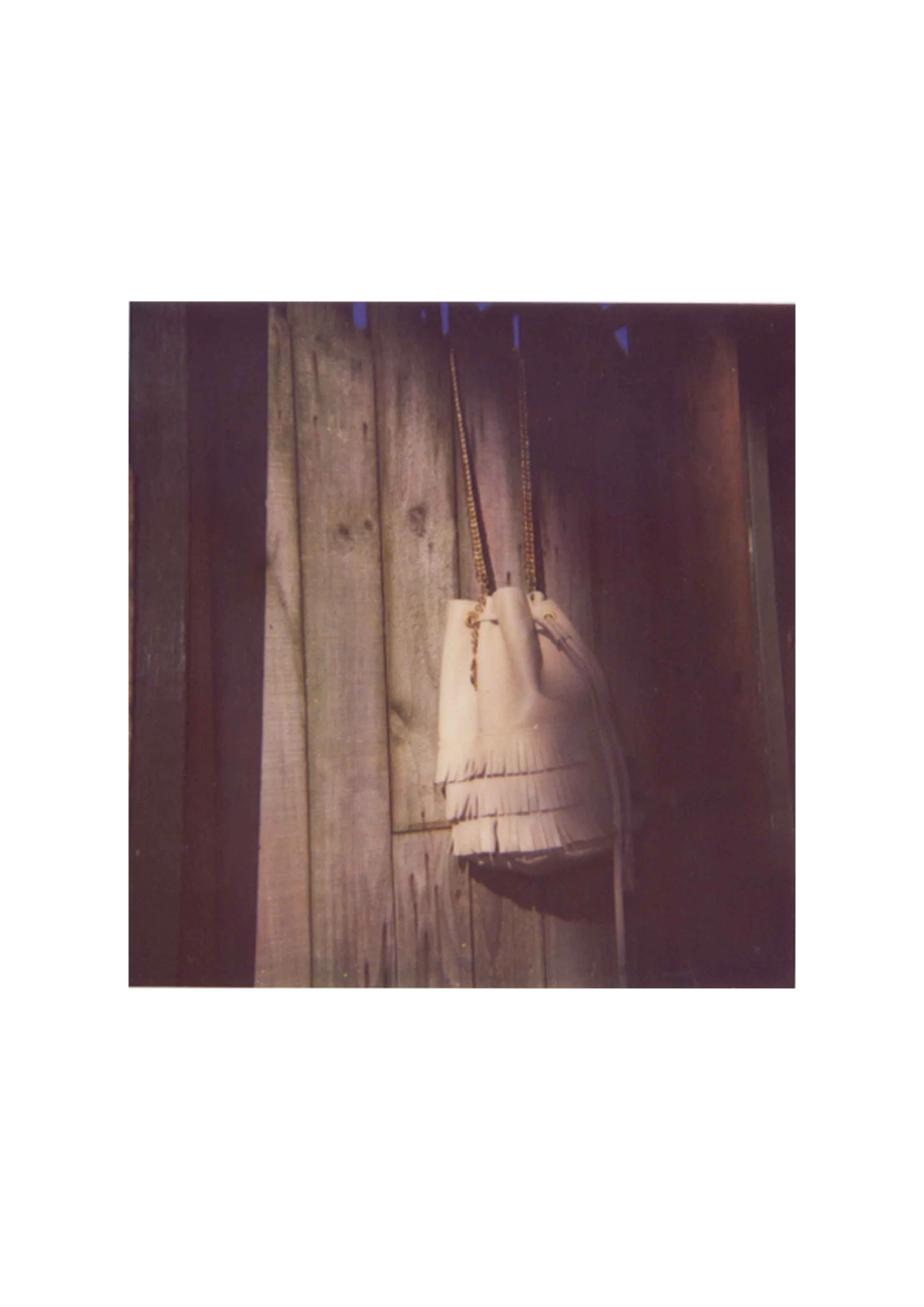 DVC_handbag2.jpg