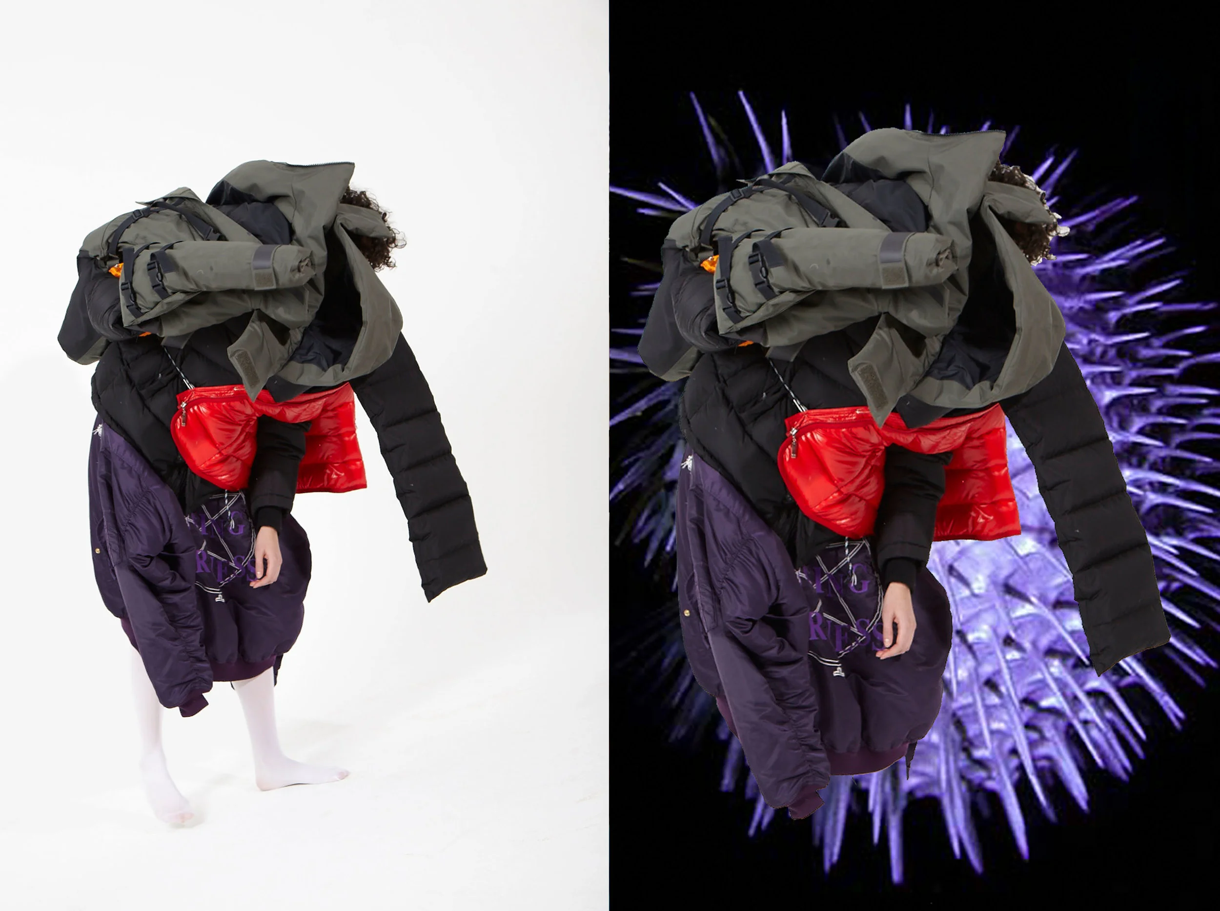 POP_puffer1.jpg