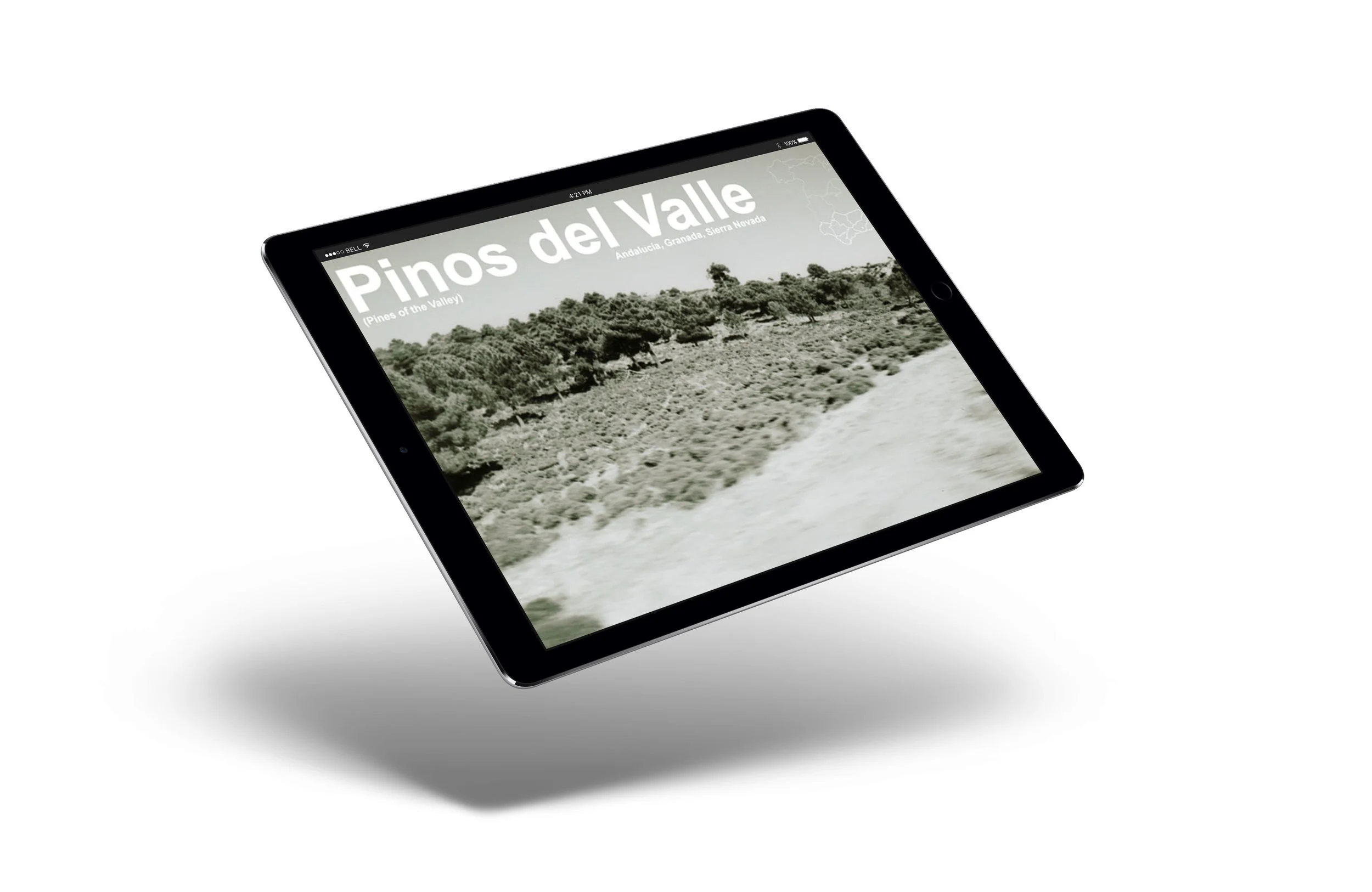 35_pino-del-valle.jpg