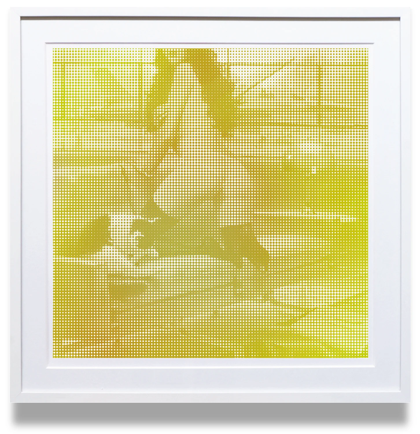 "War Bride" Halftone, Nectarine