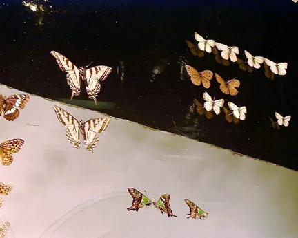 04 Detail of Window Installation.jpg