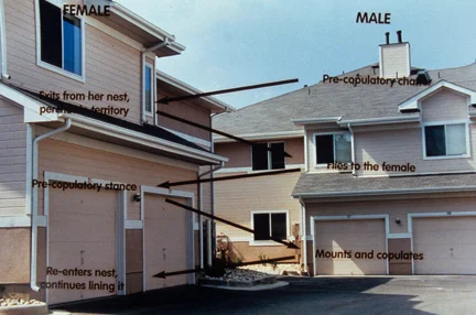 12ObjectofHome.jpg