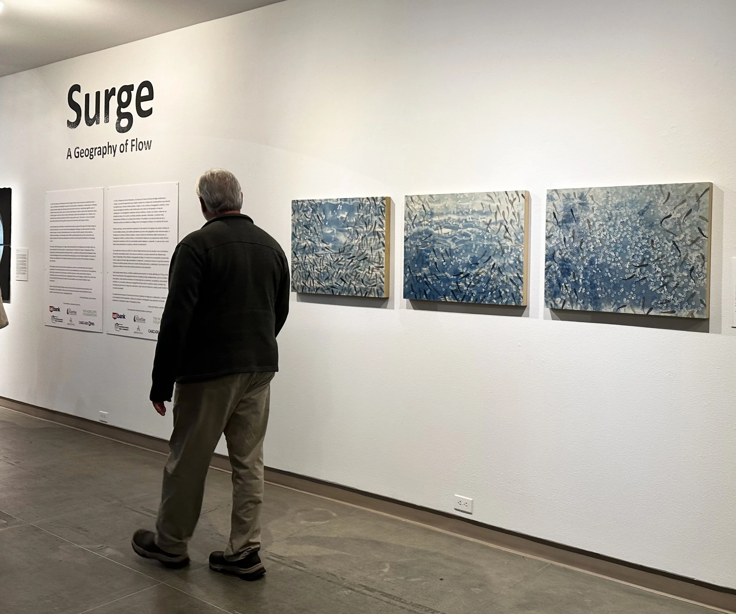 Surf 1-3 at Surge: A Geography of Flow, Museum of Northwest Art in La Conner WA