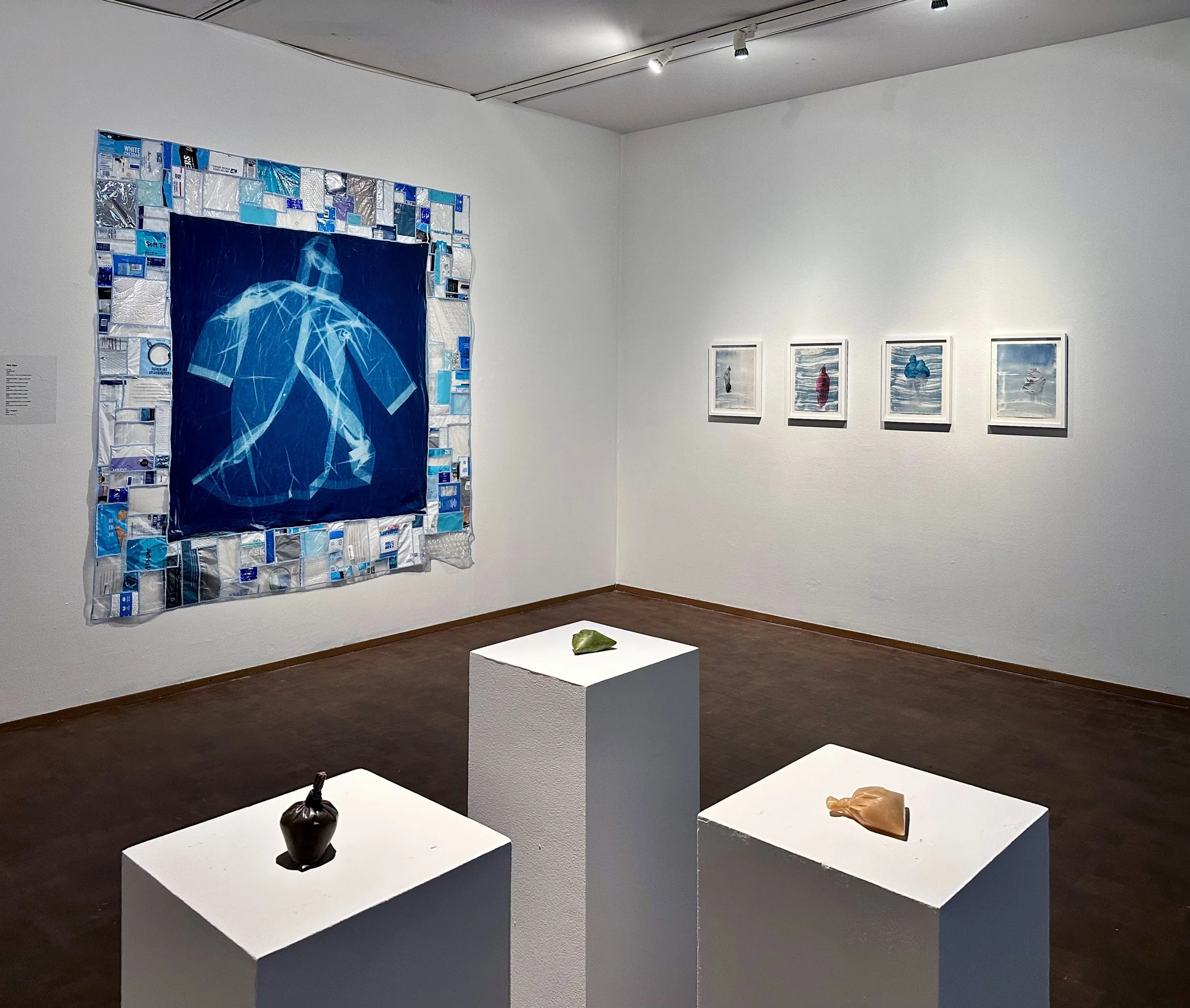 Comforter and Baggies, Western Gallery, 2026