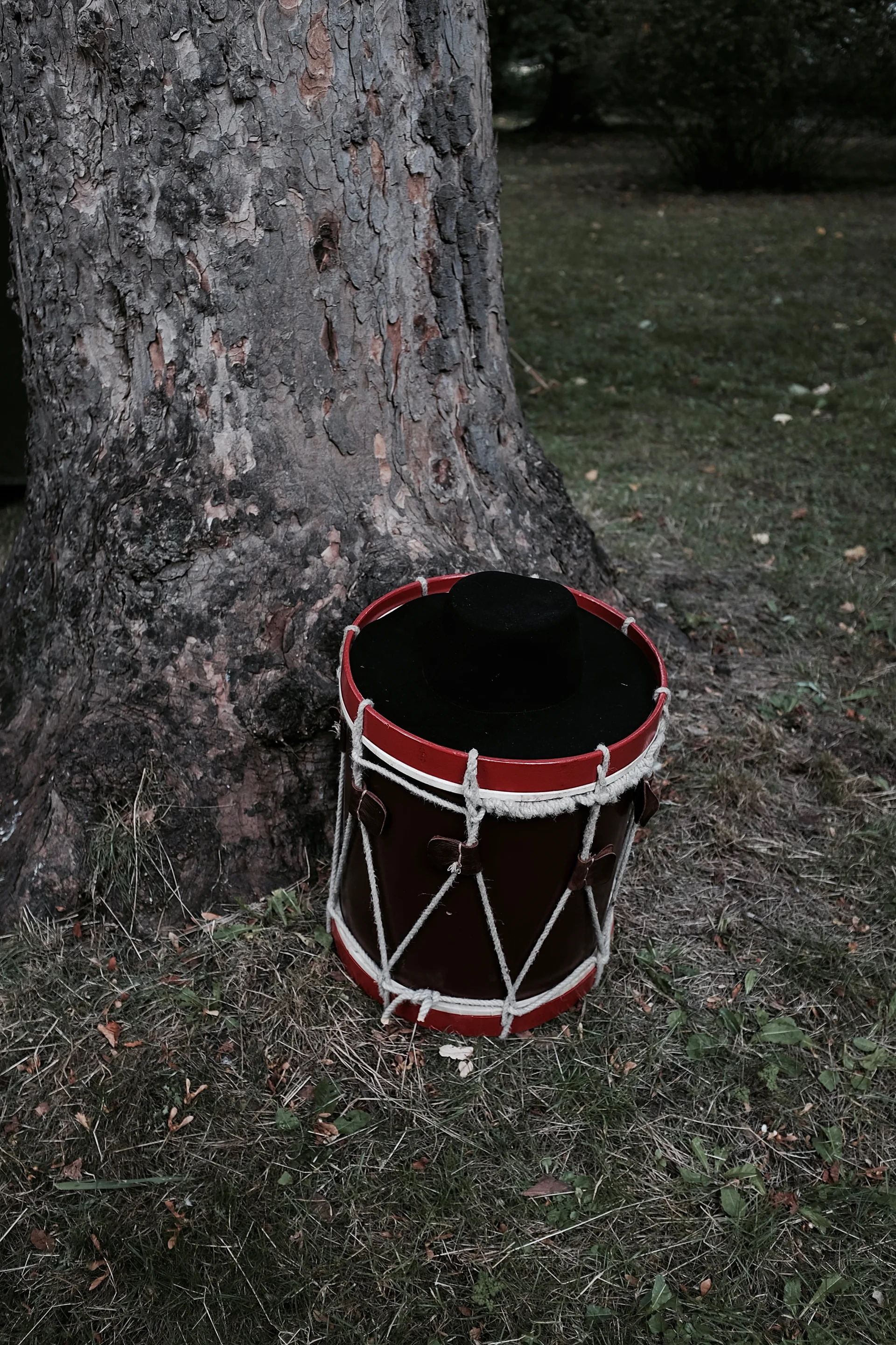 DSCF1538.jpg
