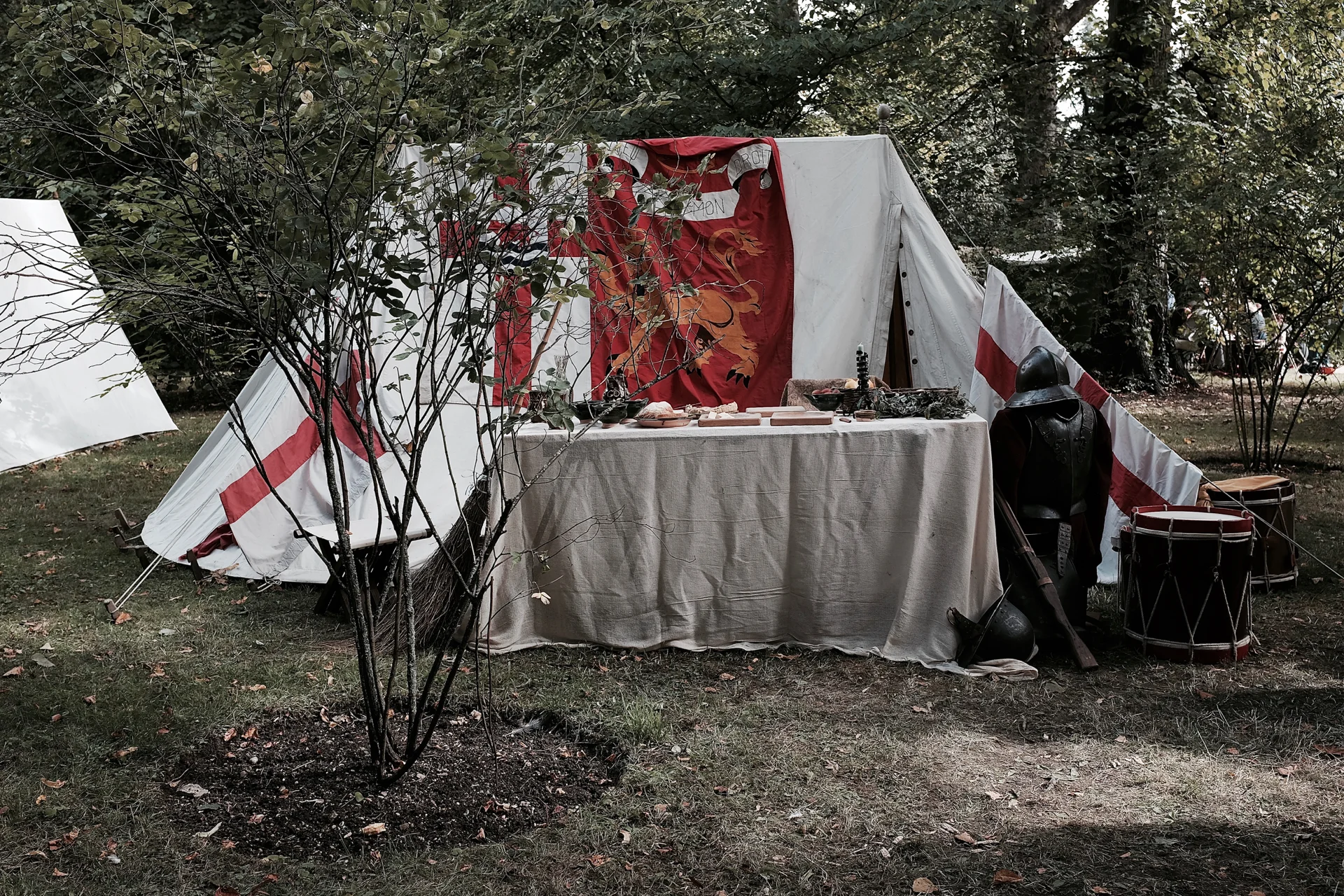 DSCF1651.jpg