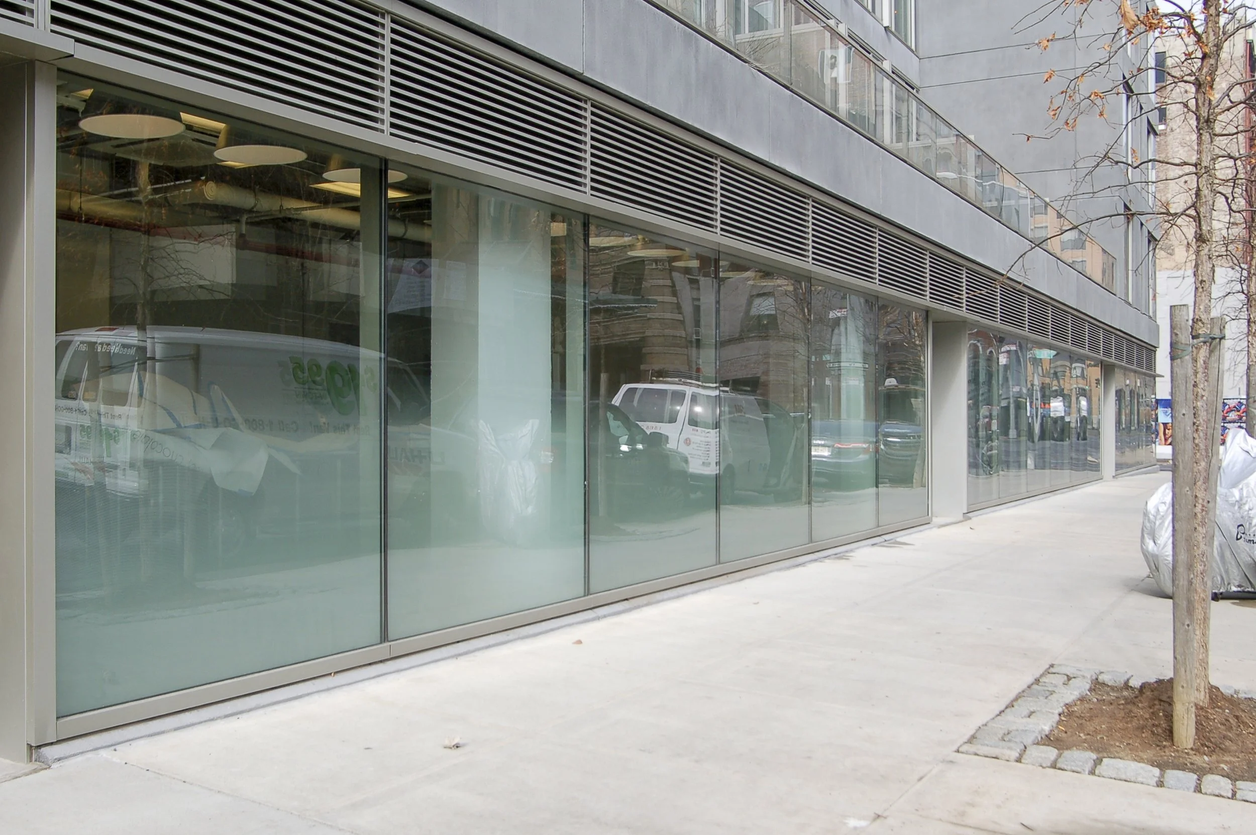 Fasara Illumina 2.jpg