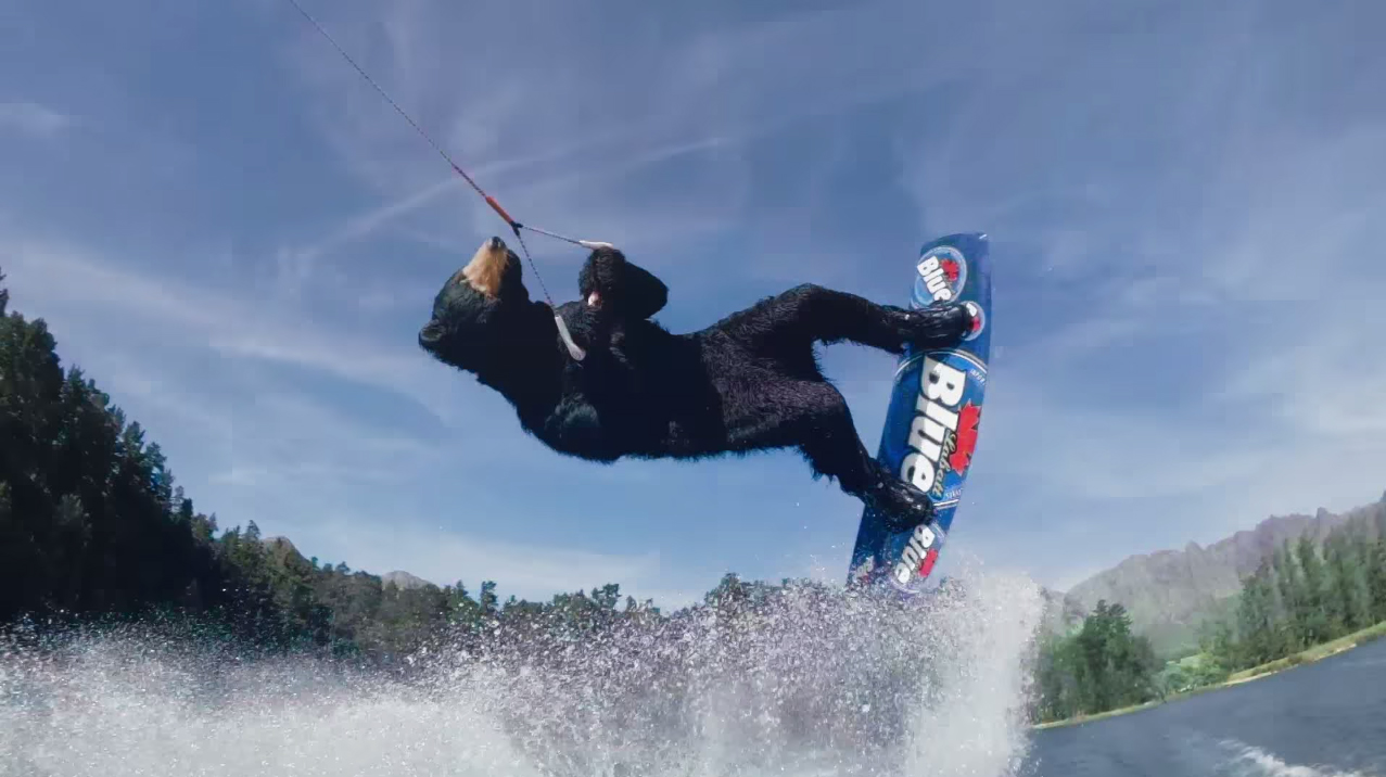 Labatt Blue Epic Bear "Wakeboard"
