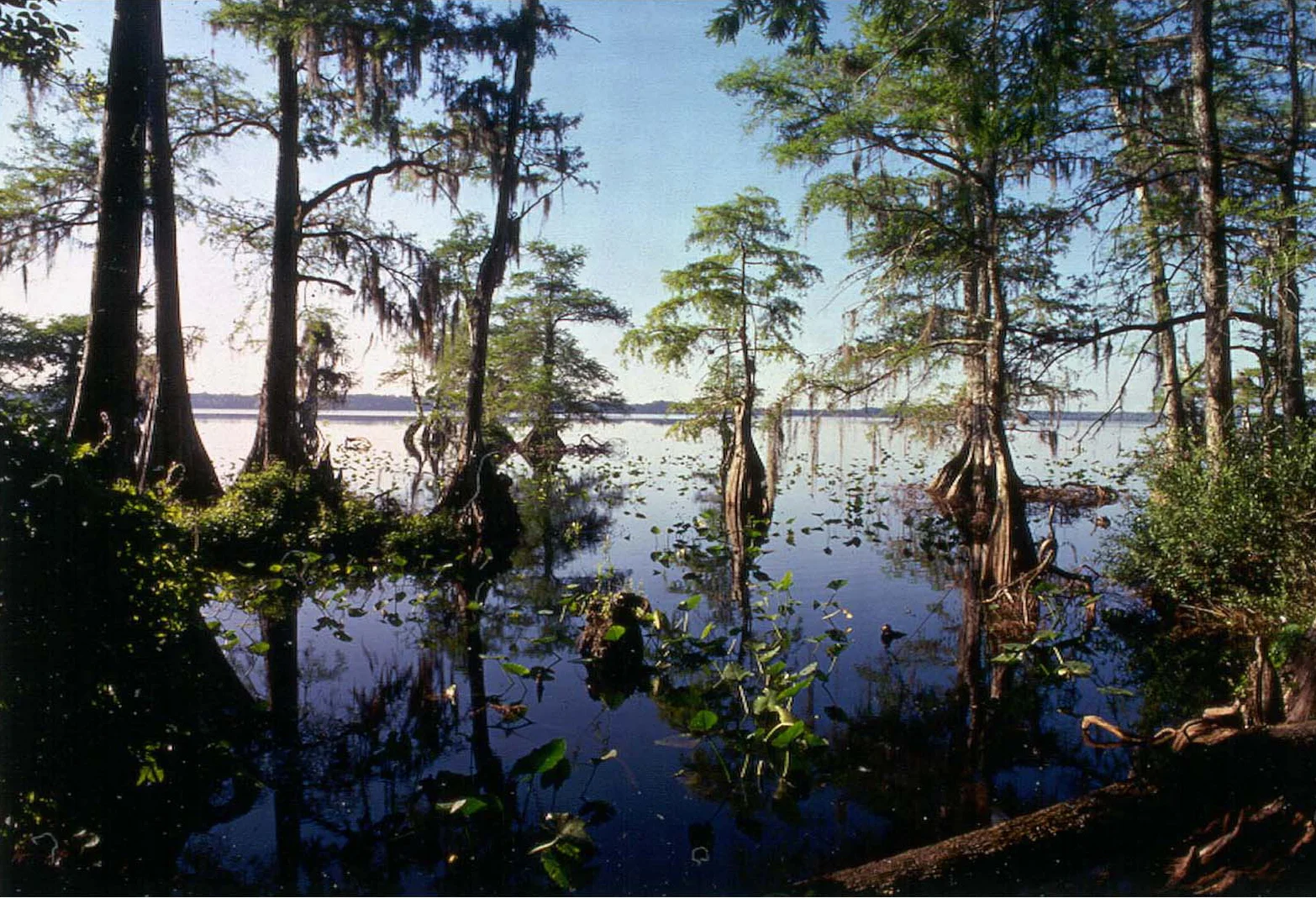 Lake Lanochee