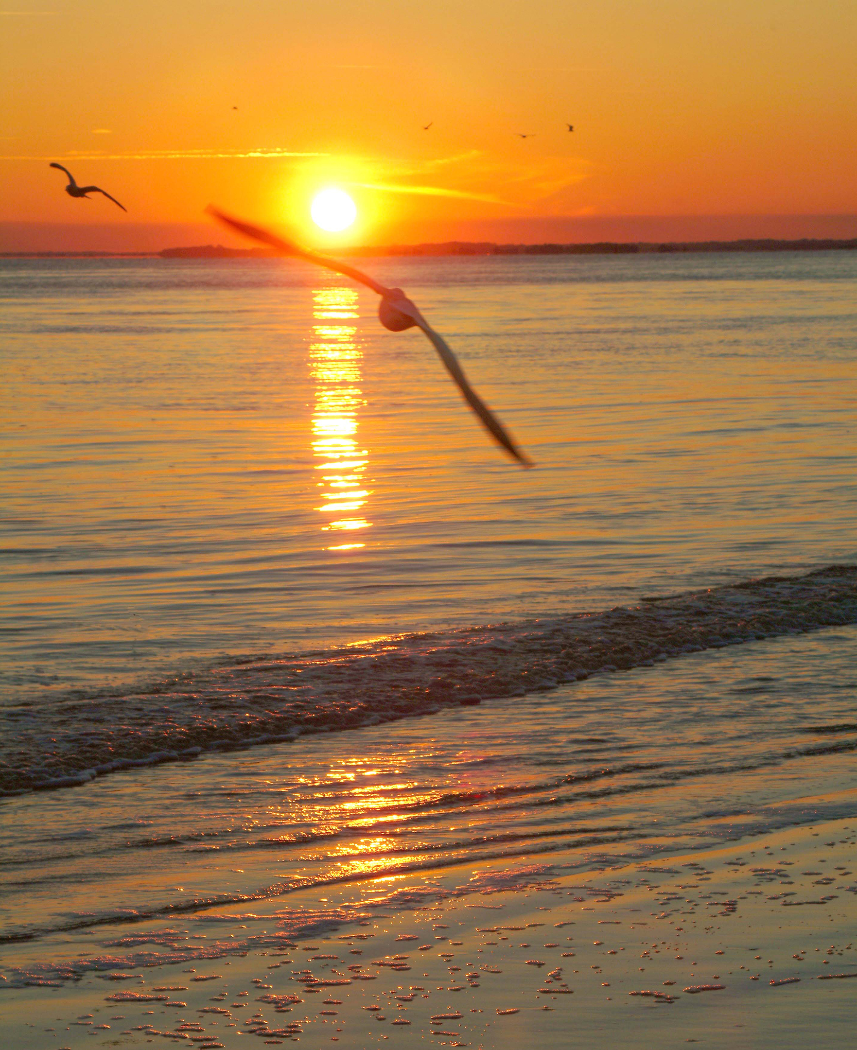 Jekyll Island, Georgia