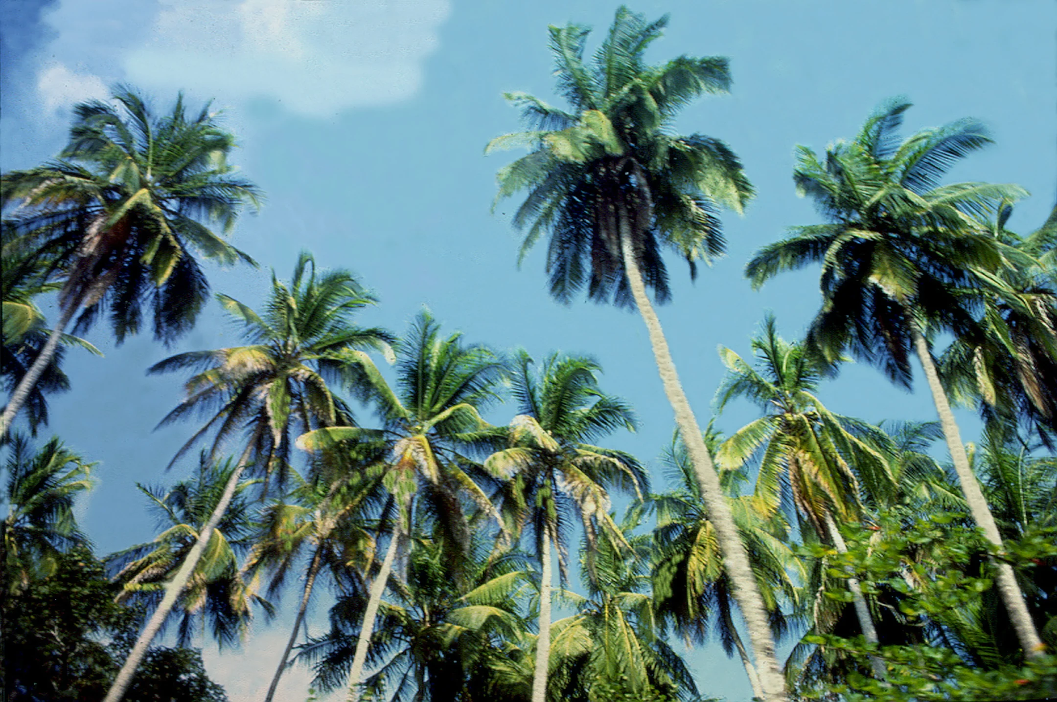 Limon, Costa Rico