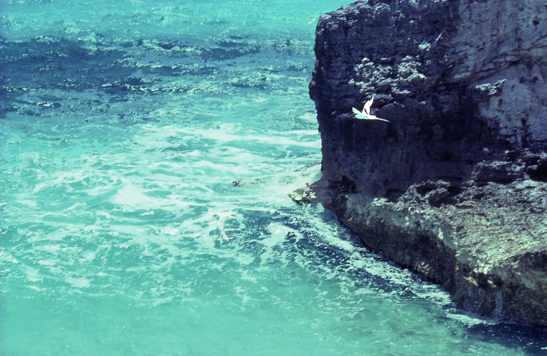 Wardrick Wells, Bahamas