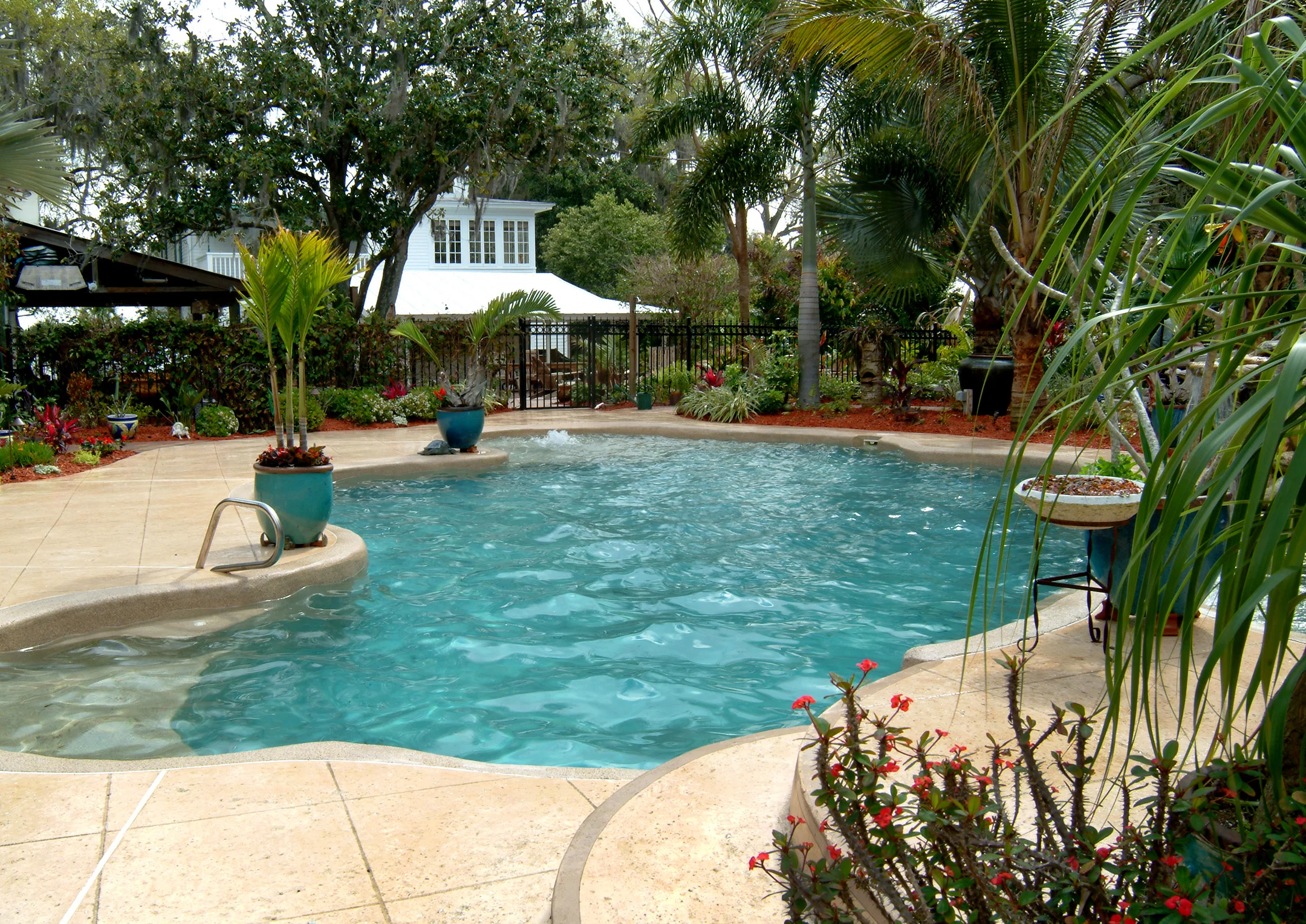 Pool and patio