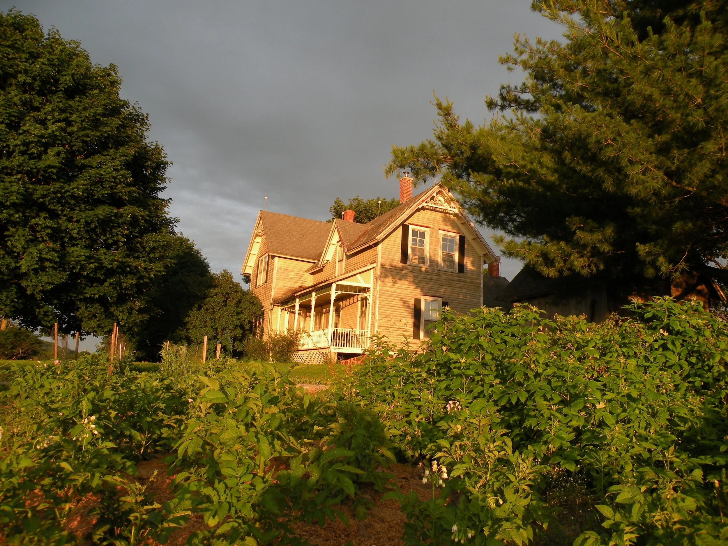 House after Storm, June 2008