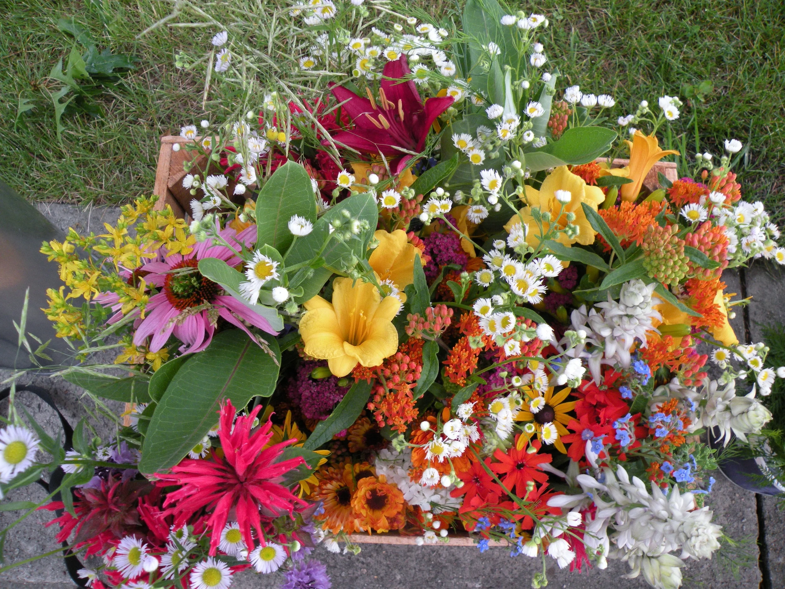 bulk blooms.jpg