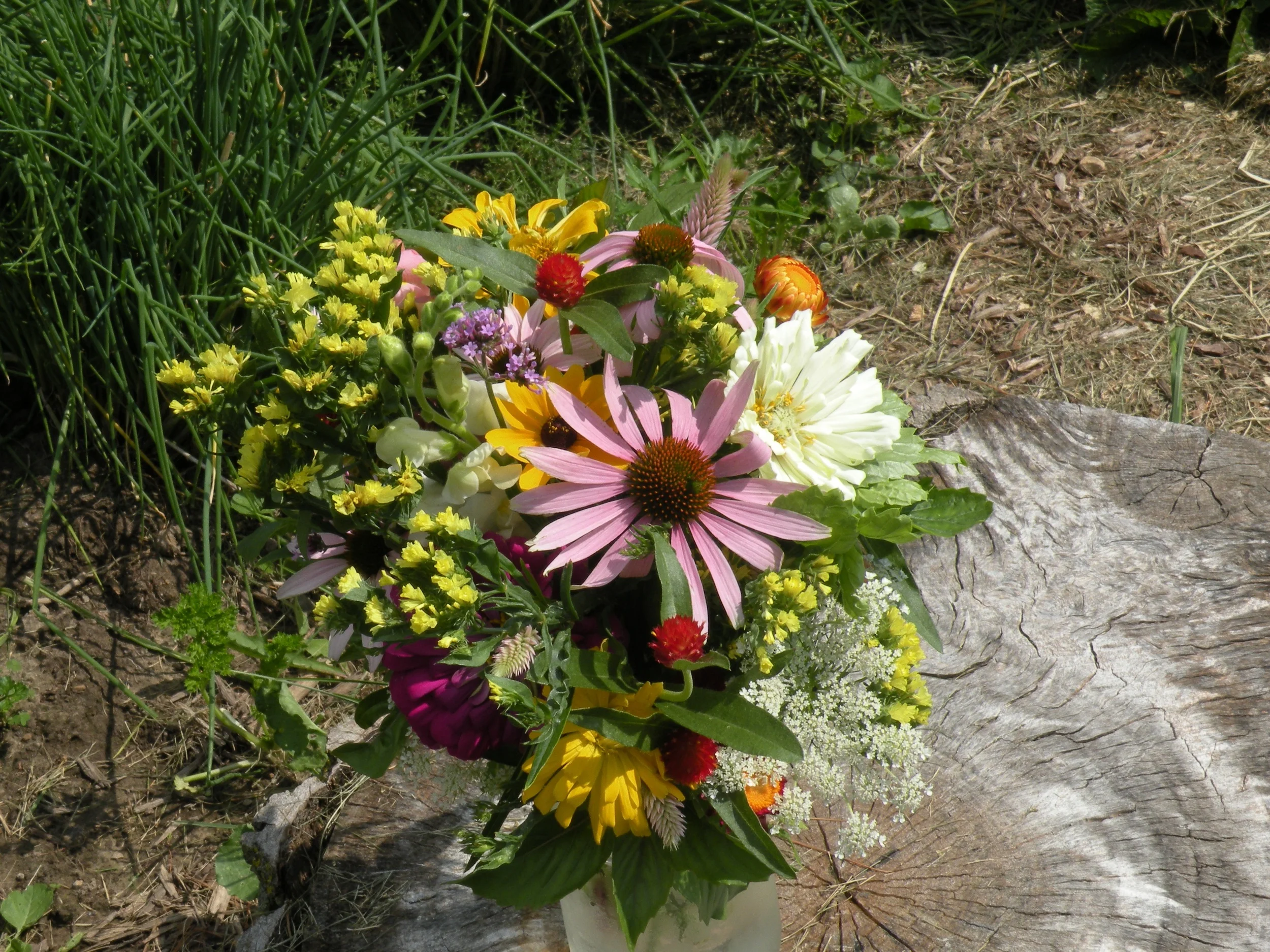 July 18 flower share.jpg