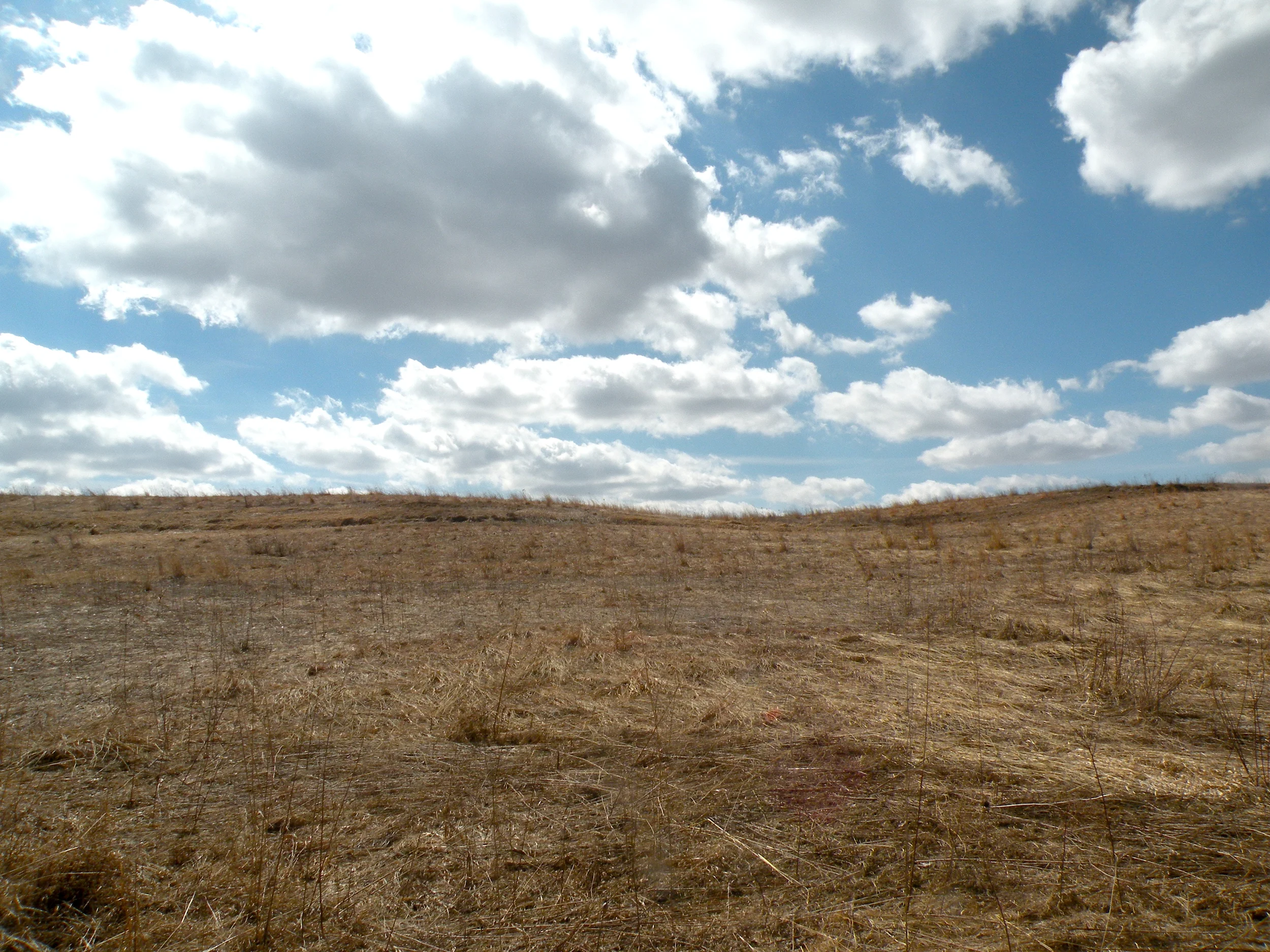 April Hillside.jpg