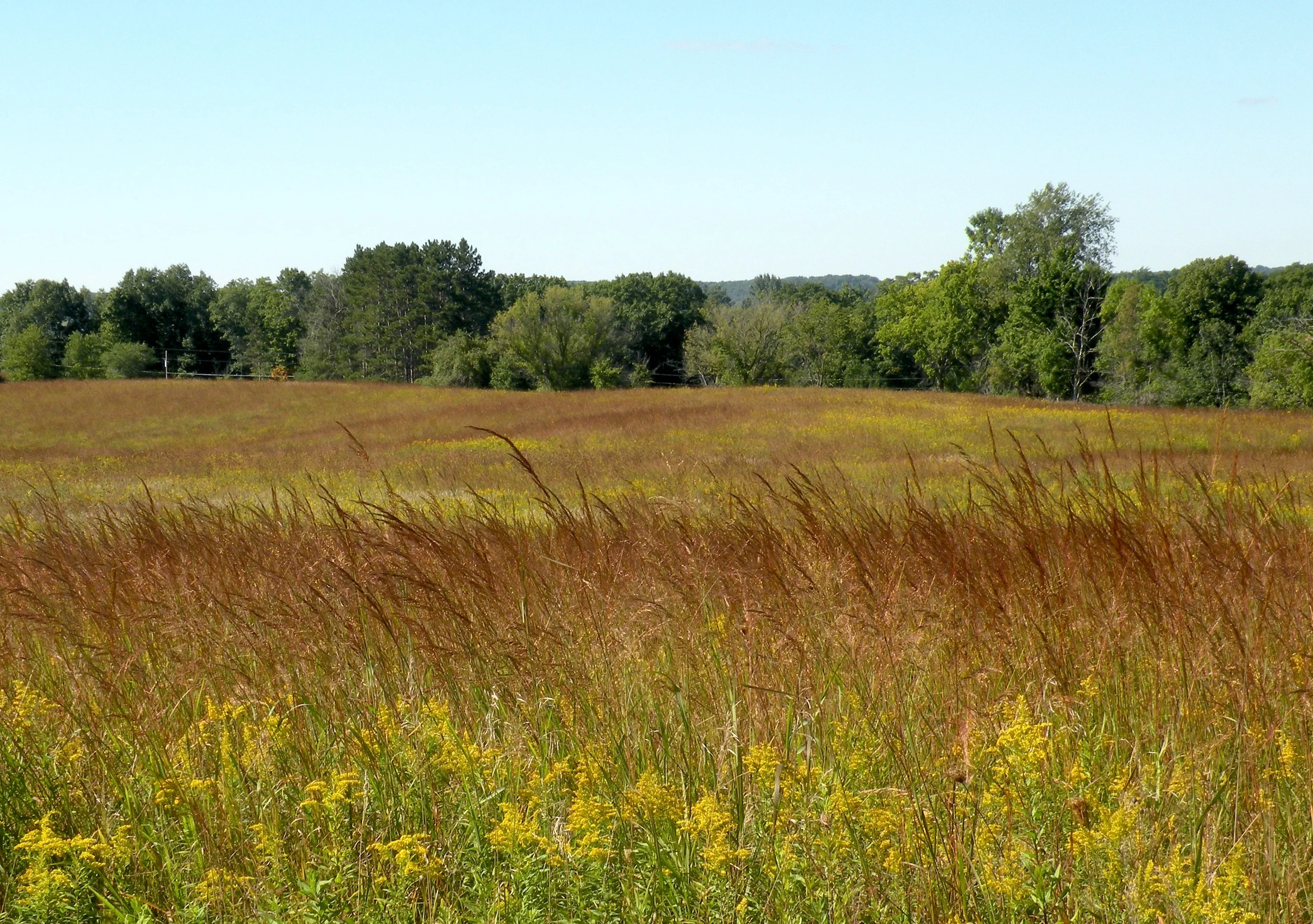 Prairie in Sept.jpg