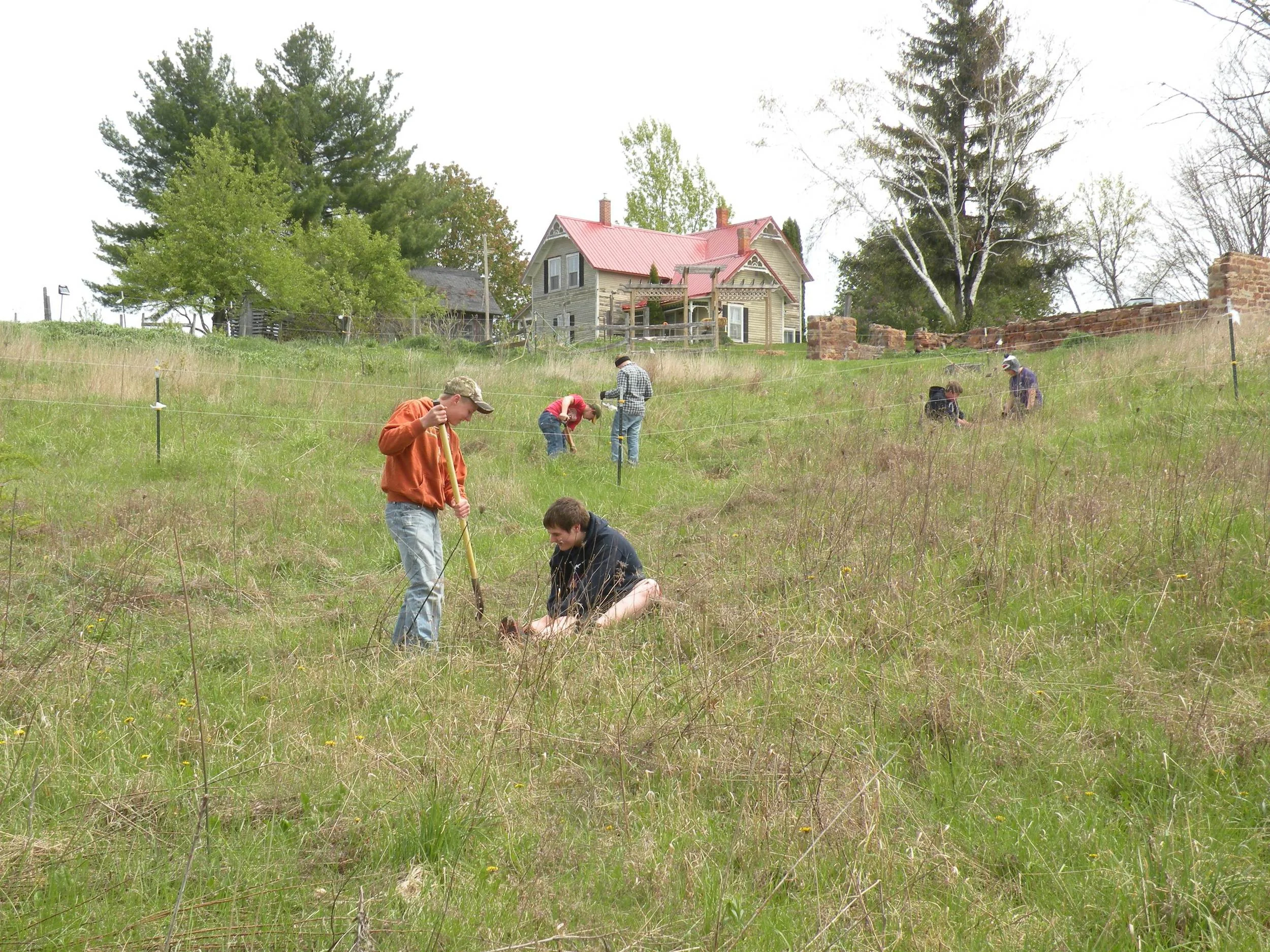 RAHS tree planting help -web.jpg