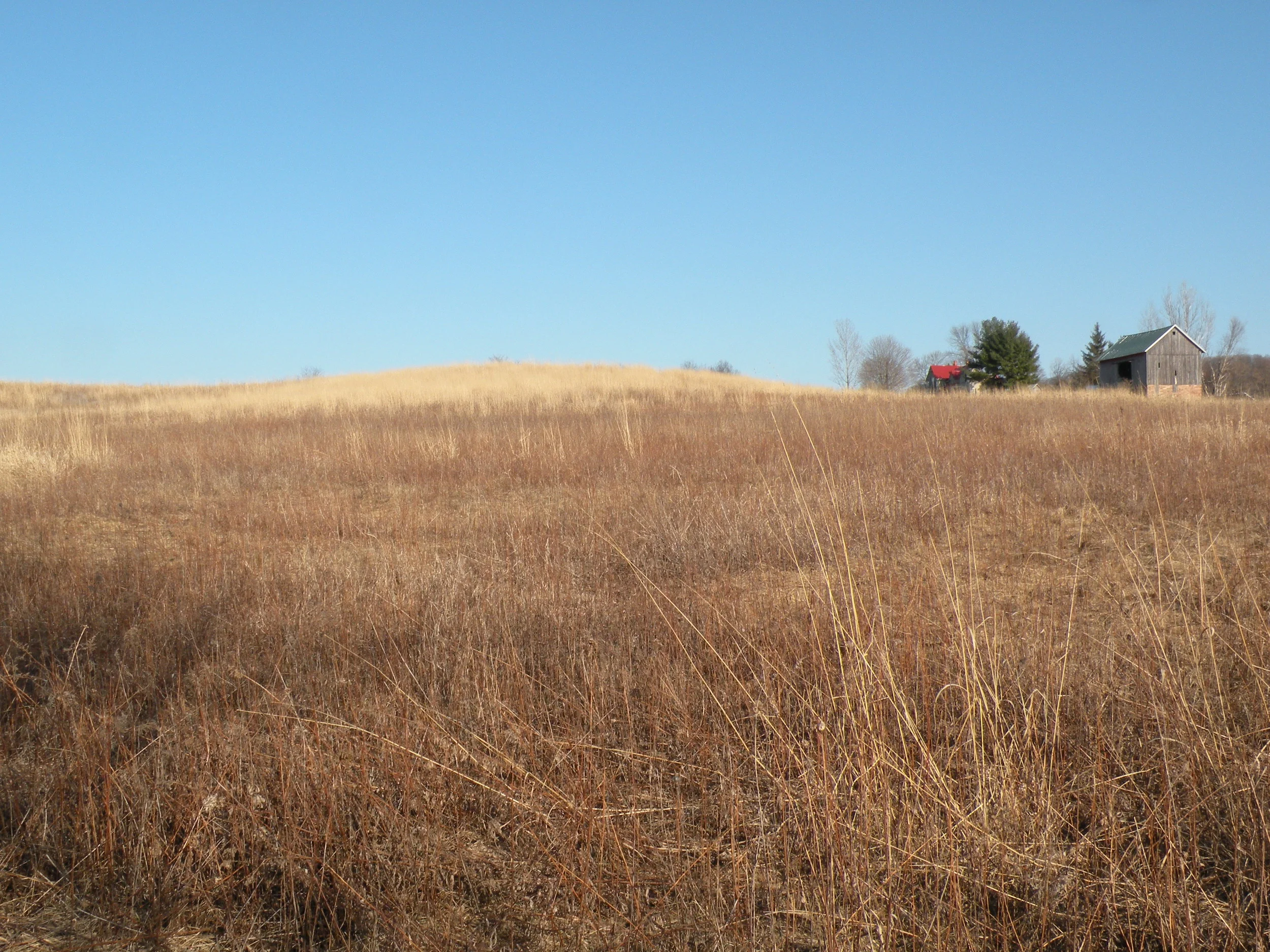 spring prairie viewpoints.jpg