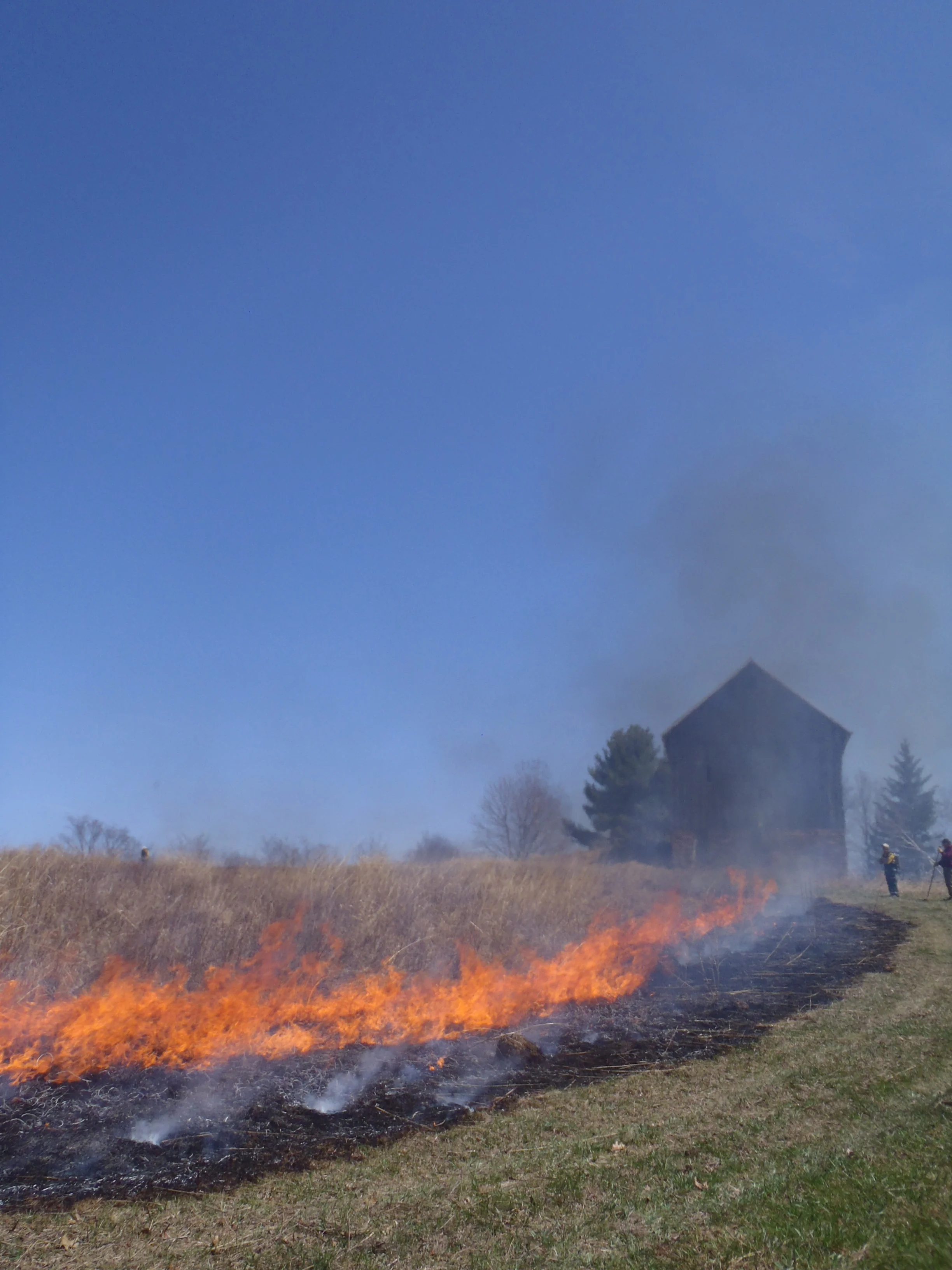 fireline along the barn.jpg