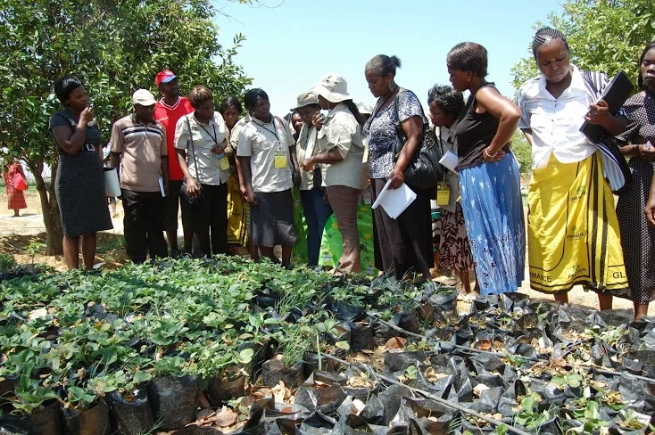 Gathering at Ms. Sianga’s Farm for a tour, discussion of different horticultural techniques. Photo by Kati Partanen, WFO Women’s Committee