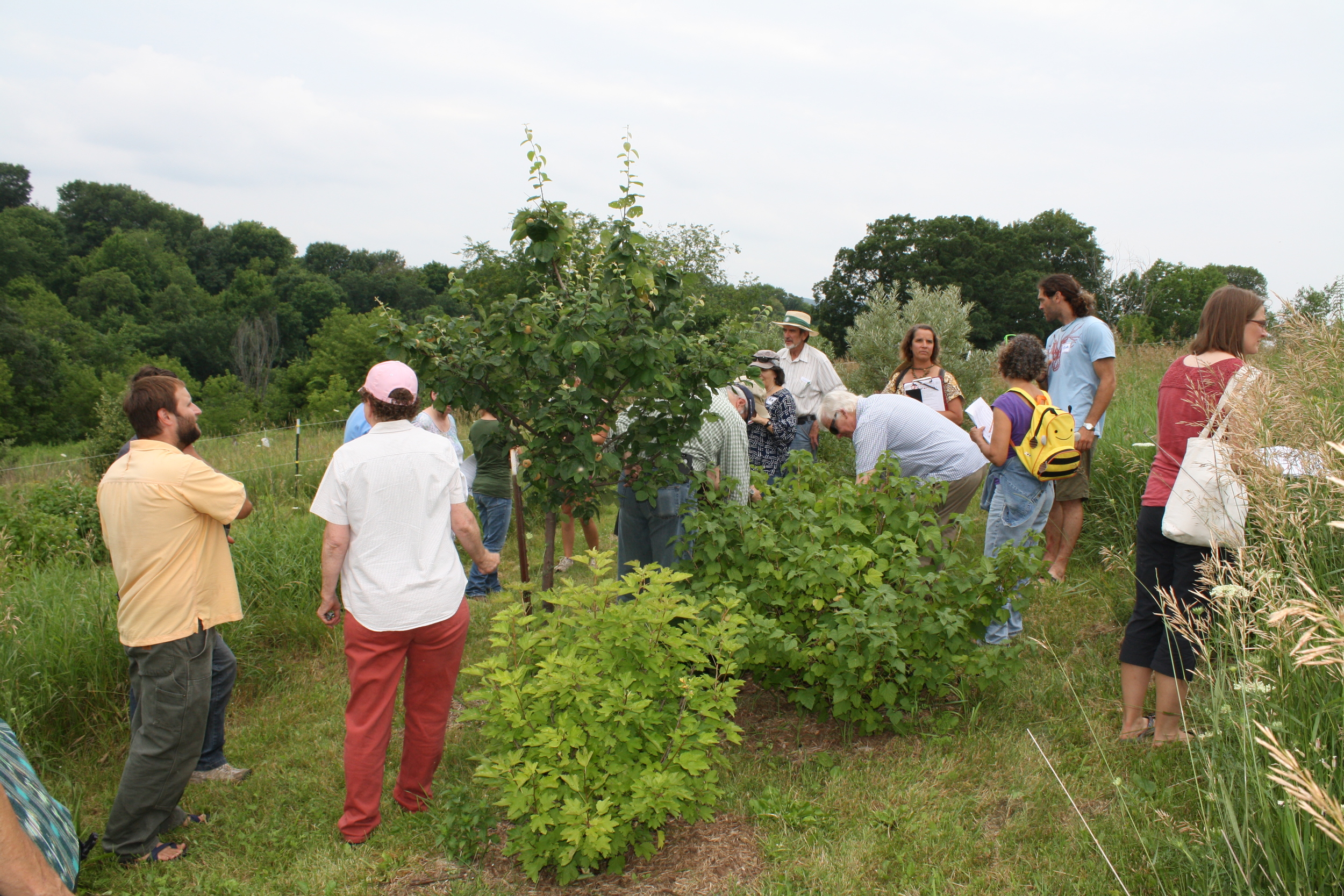 exploring the food forests.jpg