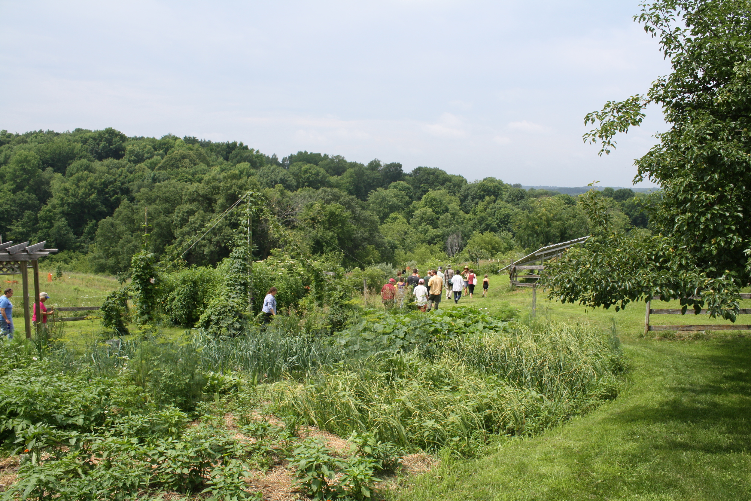 overview of lower garden, on the way to an orchard tour.jpg