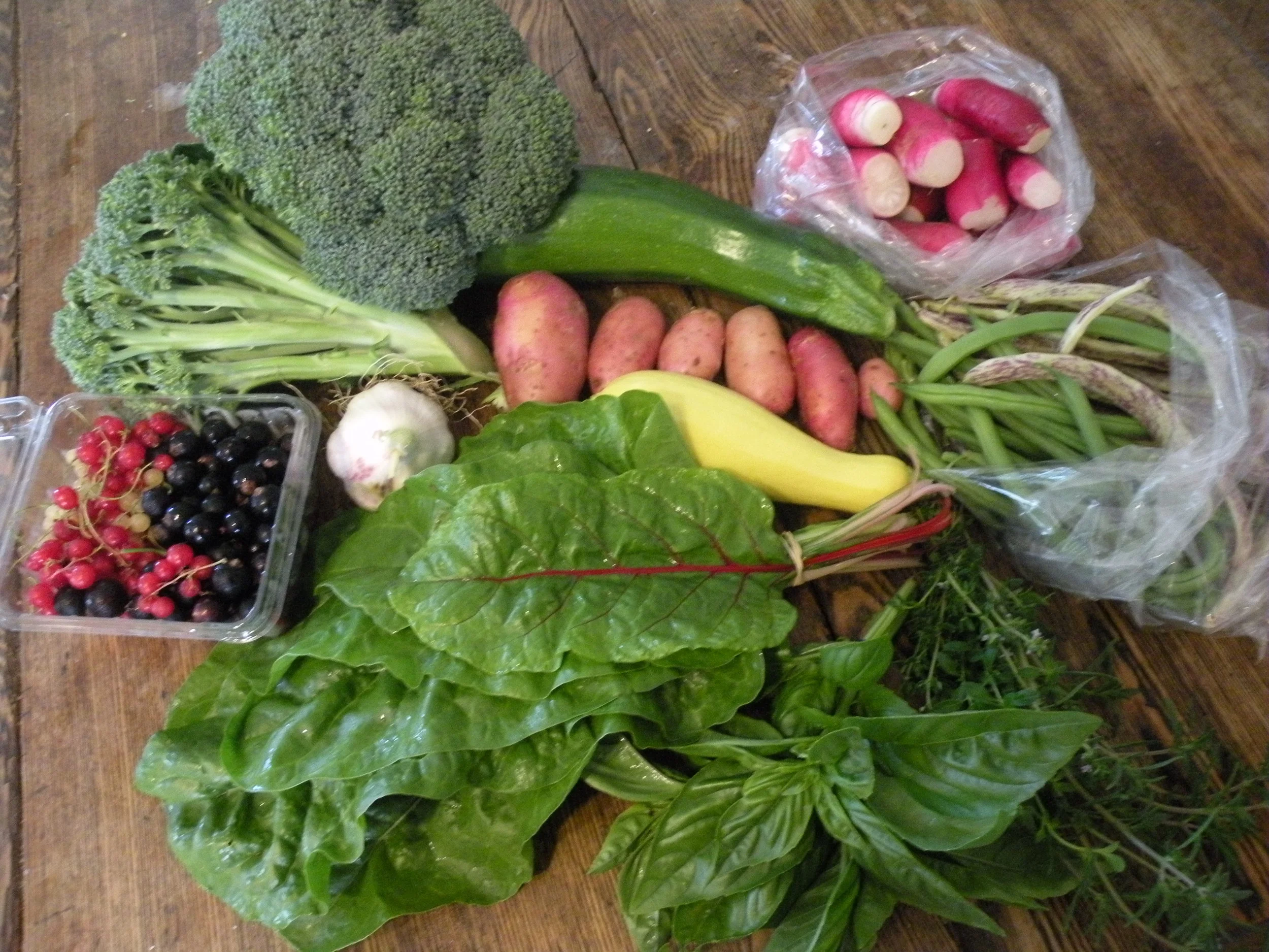 July 20 CSA share.jpg