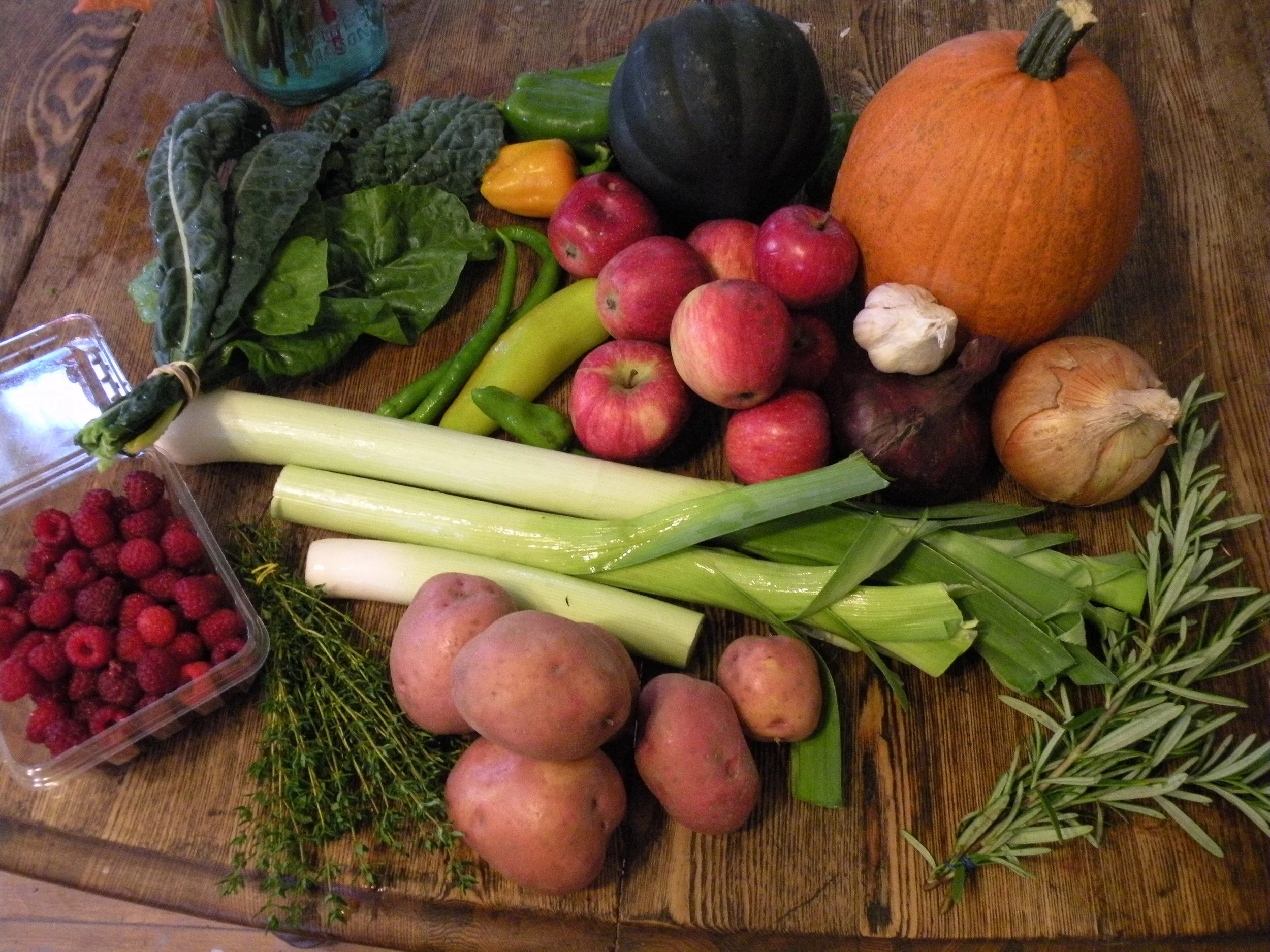 Mid-September CSA share. We hope we offered a balance of variety, nutrient dense, and tasteful food!