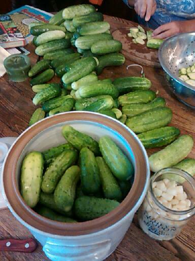 Crock pickles.jpg