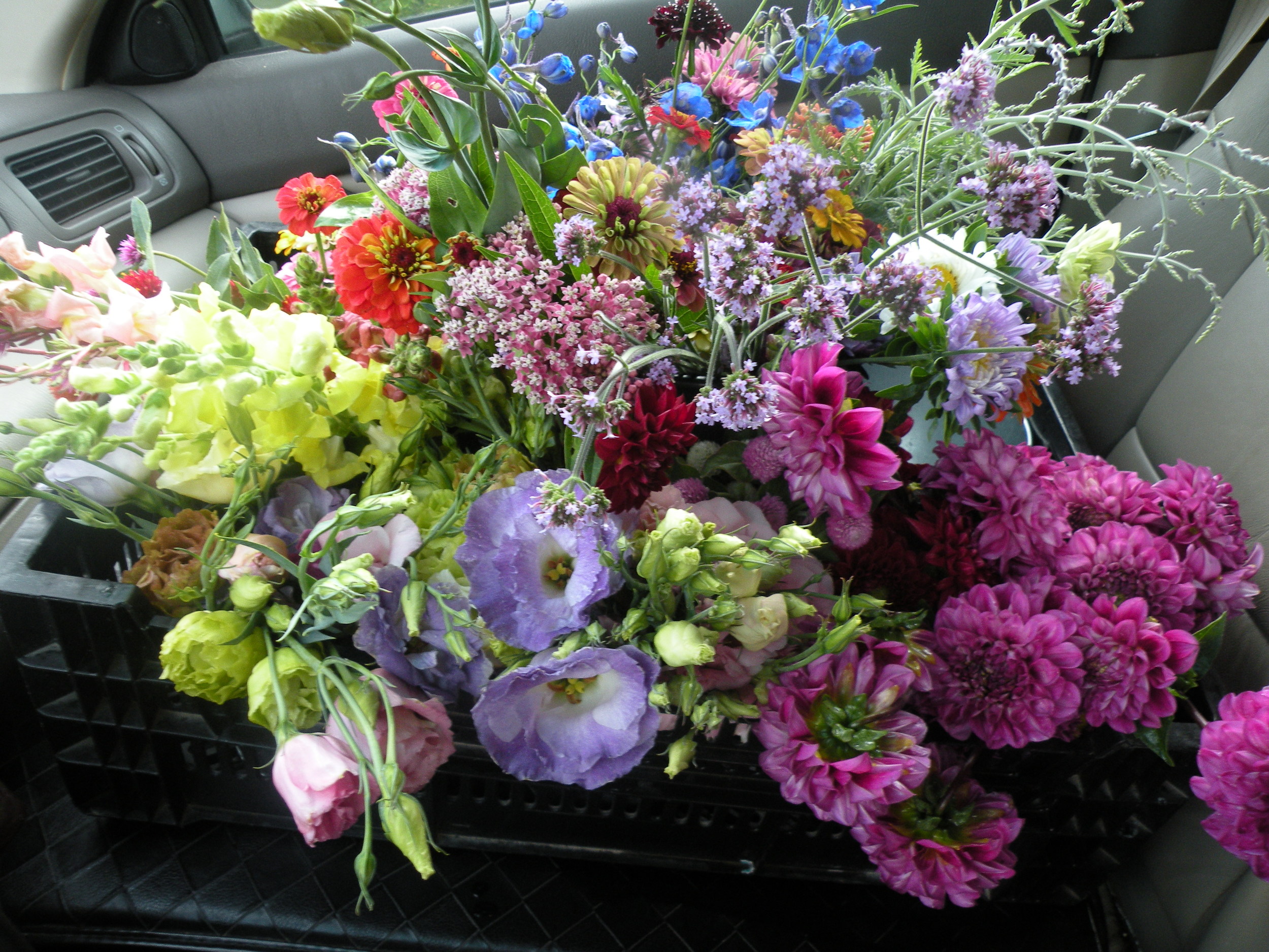 Flowers in the driver seat en route to bouquet making for July 23 wedding celebration