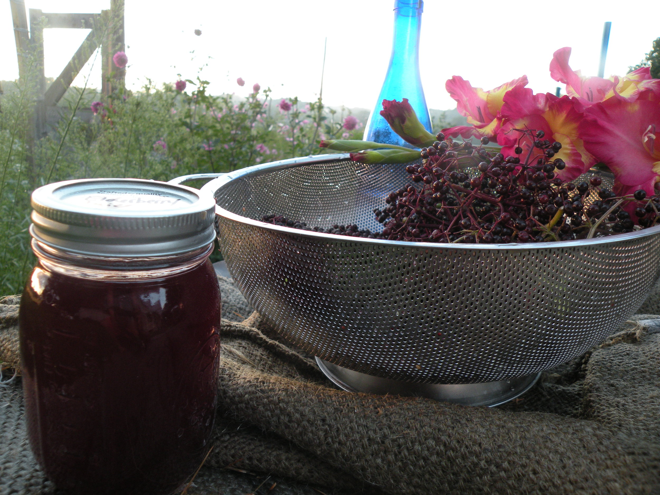 elderberry juice and berries - close up.jpg