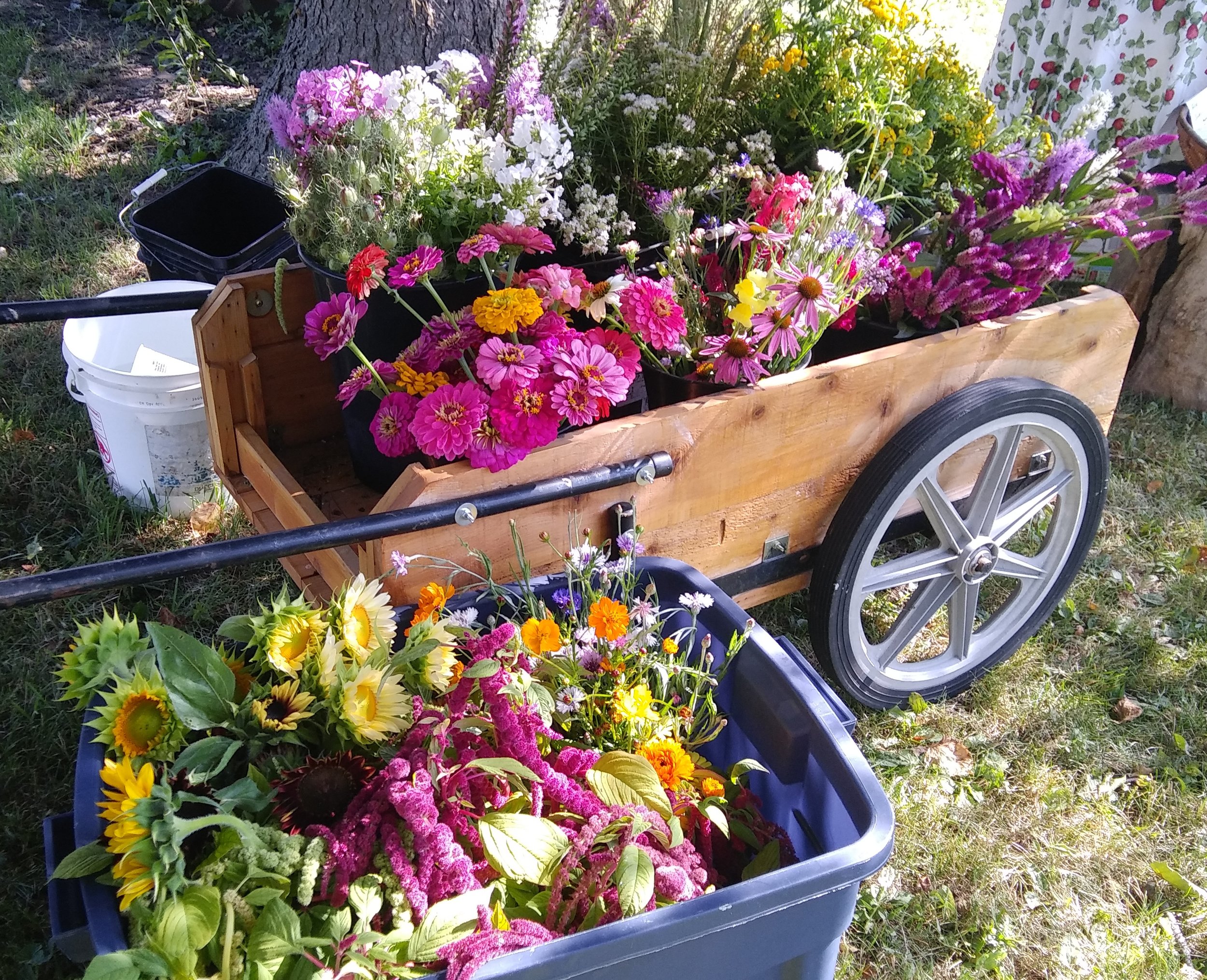 Flower Workshop palette 7-29-18.jpg