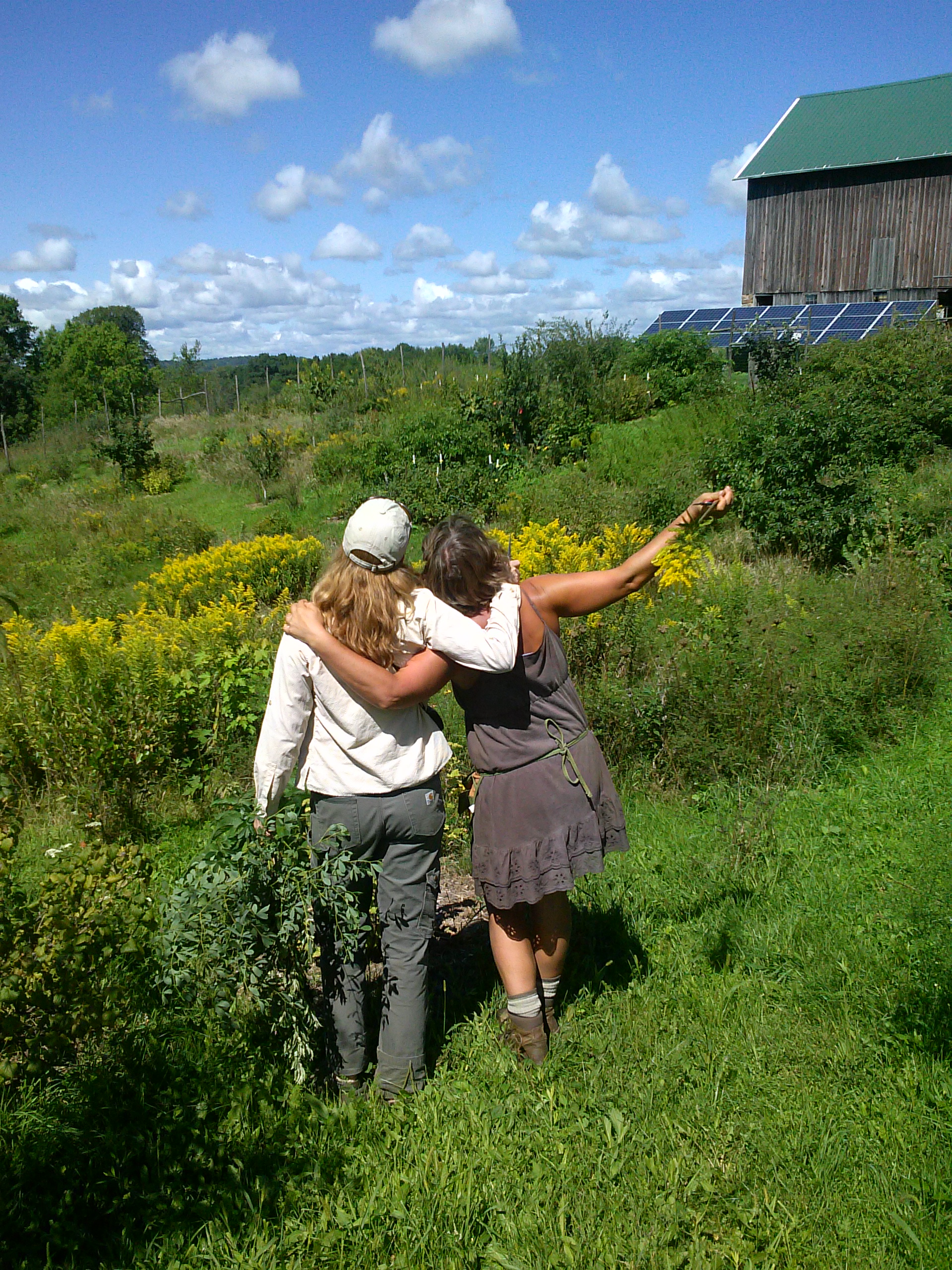 sharing the farm flower viewpoints with Kelly.jpg