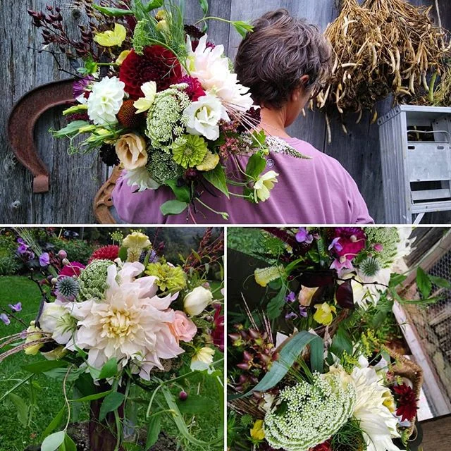 heavy lifting dahlia season but oh so luxurious when propped up by 23 other species of flower friends for this fridays wedding flower feasts. grateful that the heavy rains stayed at bay and color to lift the perpetual mists.
#weddingflowers, #organicdahlias, #localflowerfarm, #dinnerplatedahlia, #farmerflorist