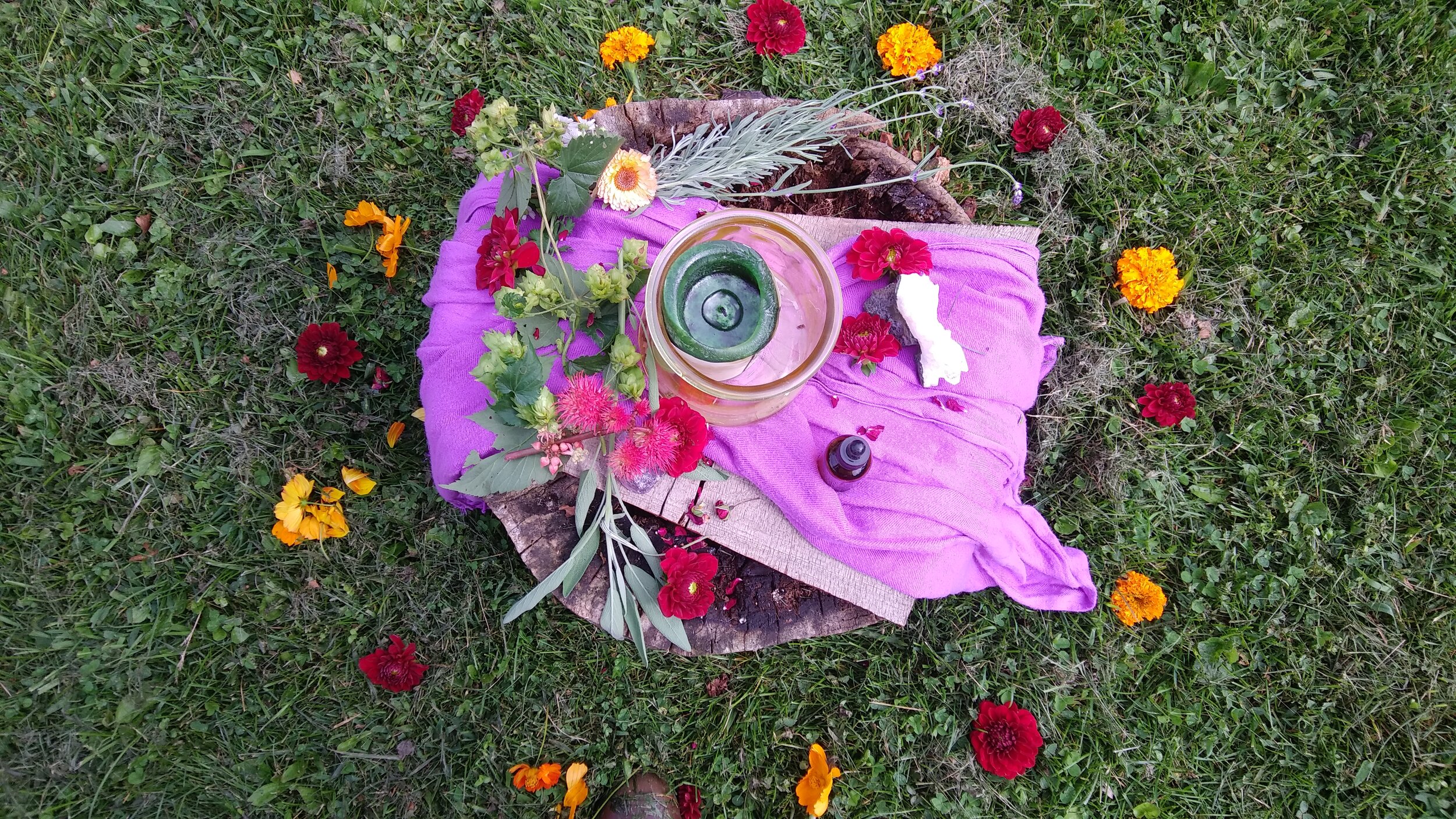 flower 'altar' for group meditation 8 - 25 - 19.jpg