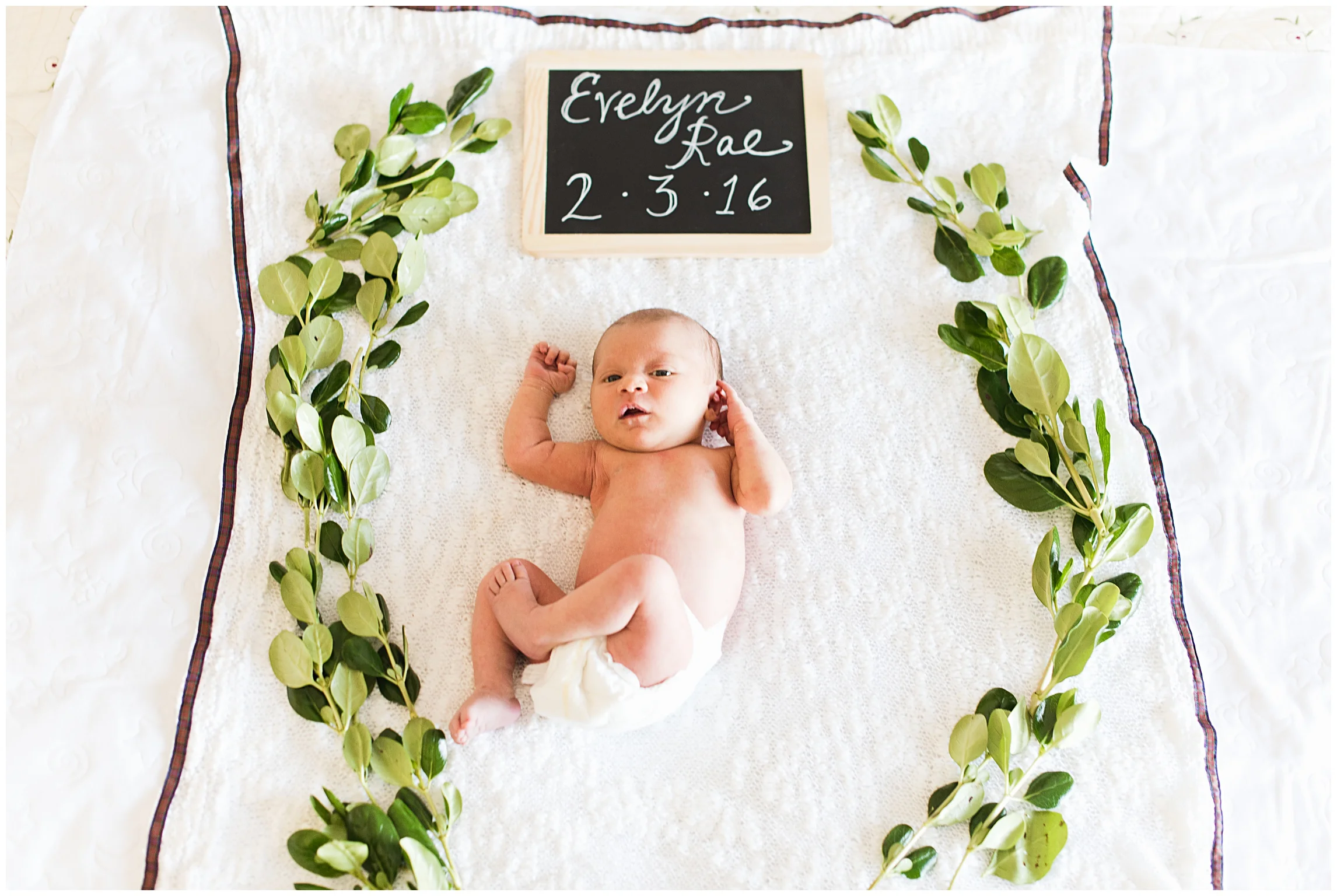 Newborn Baby Evelyn || Fort Collins, Colorado Portrait Photography