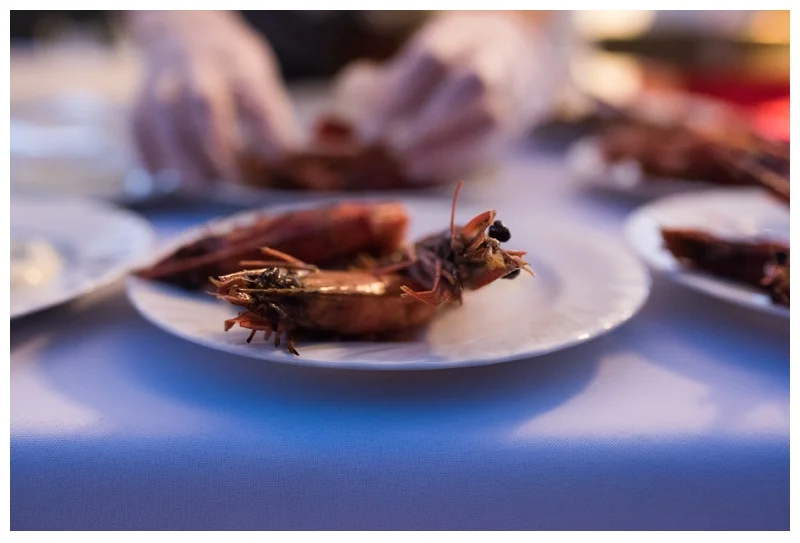 Beautiful shrimp are served at Bounty and Brews 2016 presented by Fortified Collaborations. Event photography by Sonja Salzburg of Sonja K Photography.&nbsp;