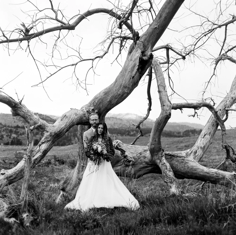 A bride and groom in black and white at Lory State Park outside of Fort Collins, Colorado. Black and white wedding photography by Sonja Salzburg of Sonja K Photography.&nbsp;