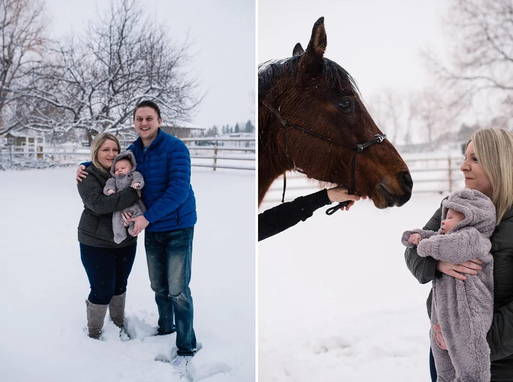 A young family at their Fort Collins, Colorado home. Family portrait photography by Sonja Salzburg of Sonja K Photography.&nbsp;