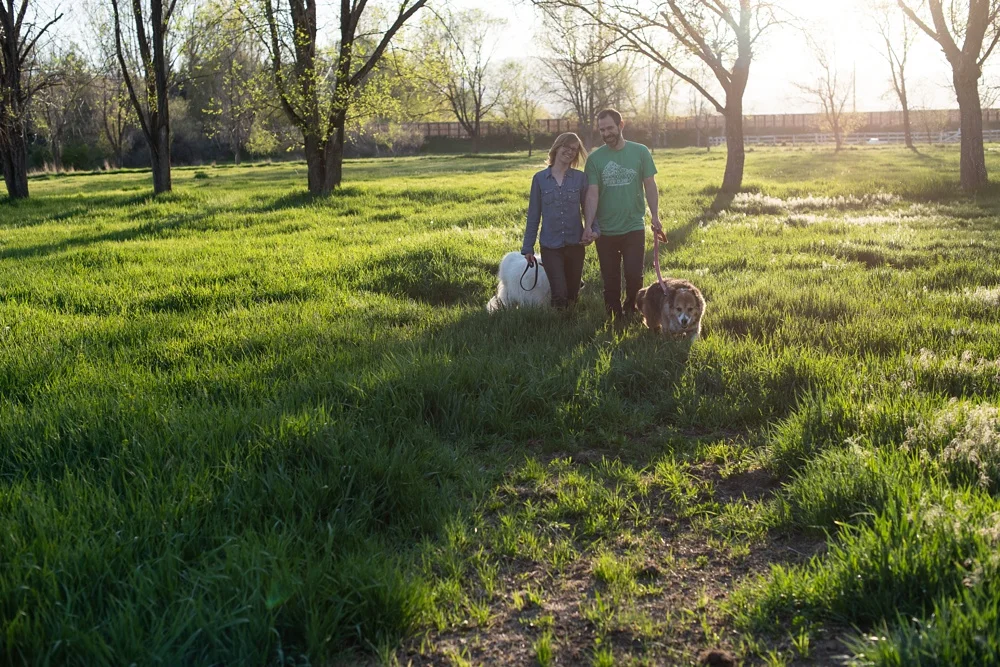 A family walks with their dogs at the Poudre River Stables in Fort Collins, Colorado. Family portrait photography by Sonja Salzburg of Sonja K Photography.&nbsp;