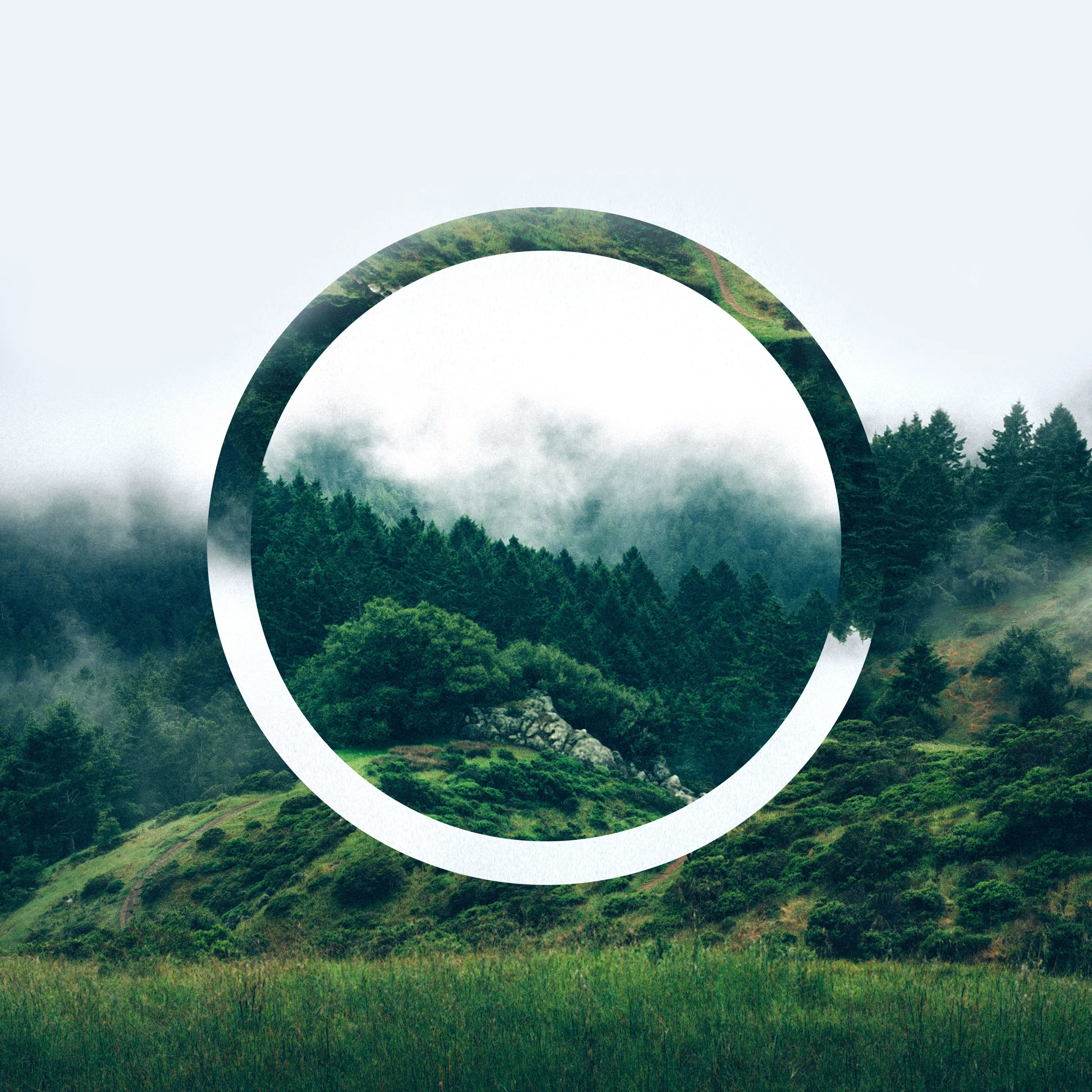 circle3.jpg