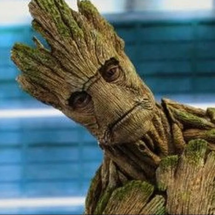 groot.jpg