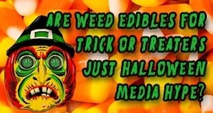 Are Marijuana Edibles A Trick-Or-Treat Terror Or Just Halloween Hype?
