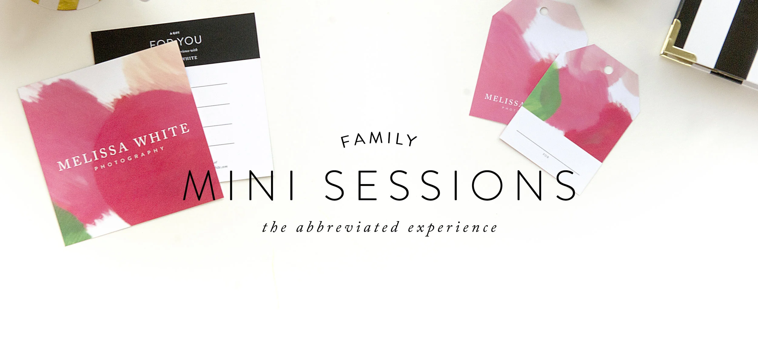 Mini Session Header.jpg